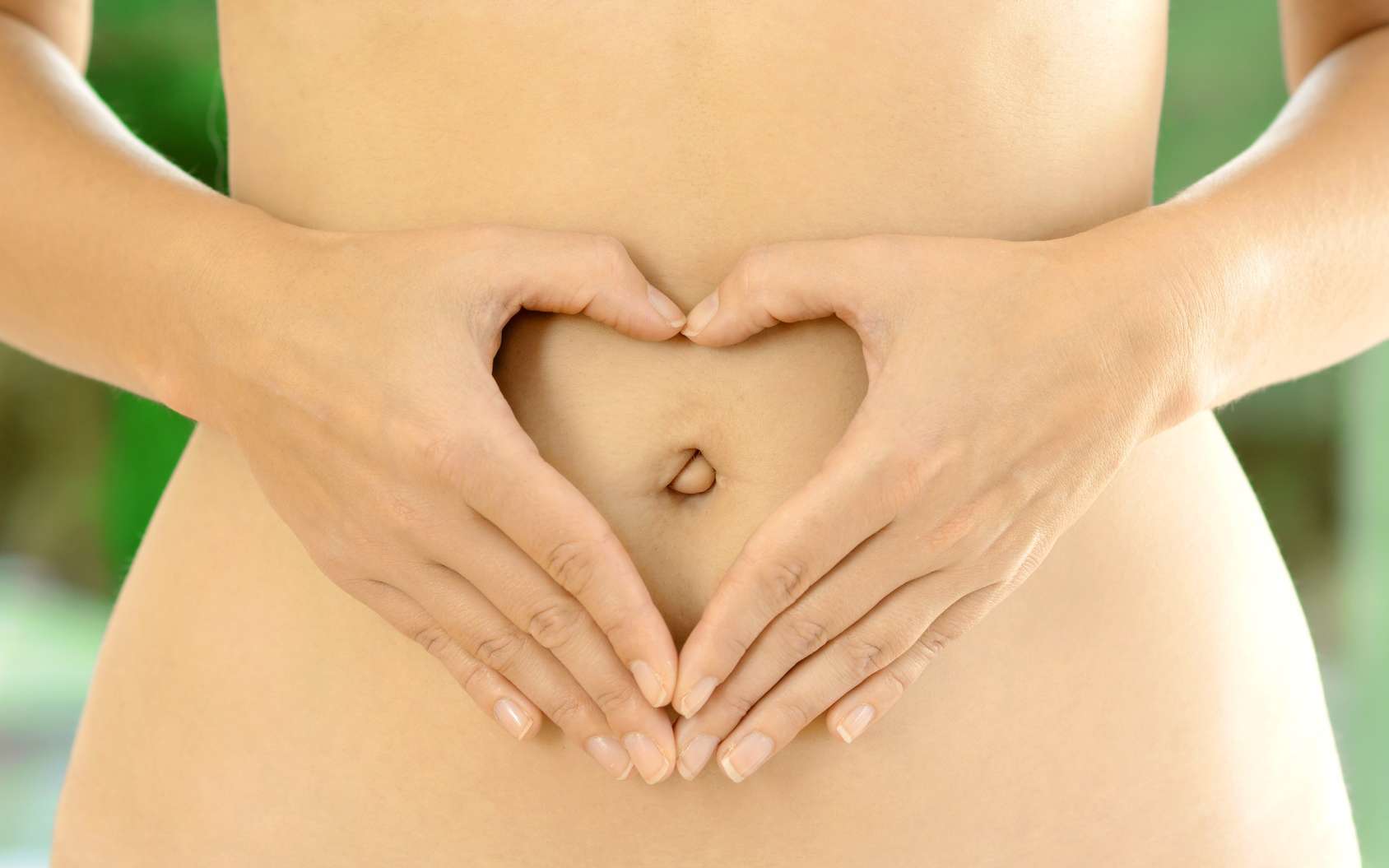 Le mésentère est un organe du système digestif reliant l’intestin aux parois de l’abdomen. © Dan Race, Fotolia