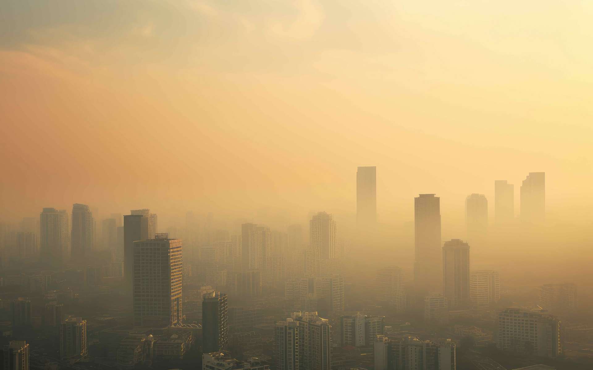 La pollution de l'air tue plus que l'alcool ou l'eau insalubre
