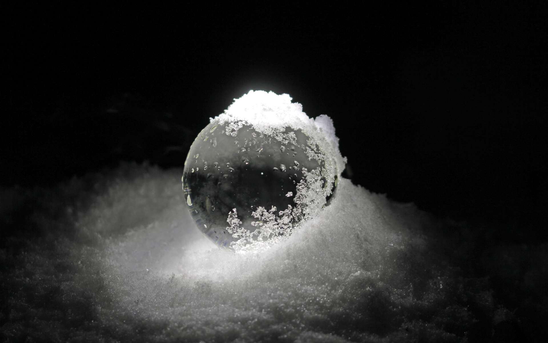 La glaciation de la Terre, un coup de pouce pour la croissance des organismes unicellulaires ?