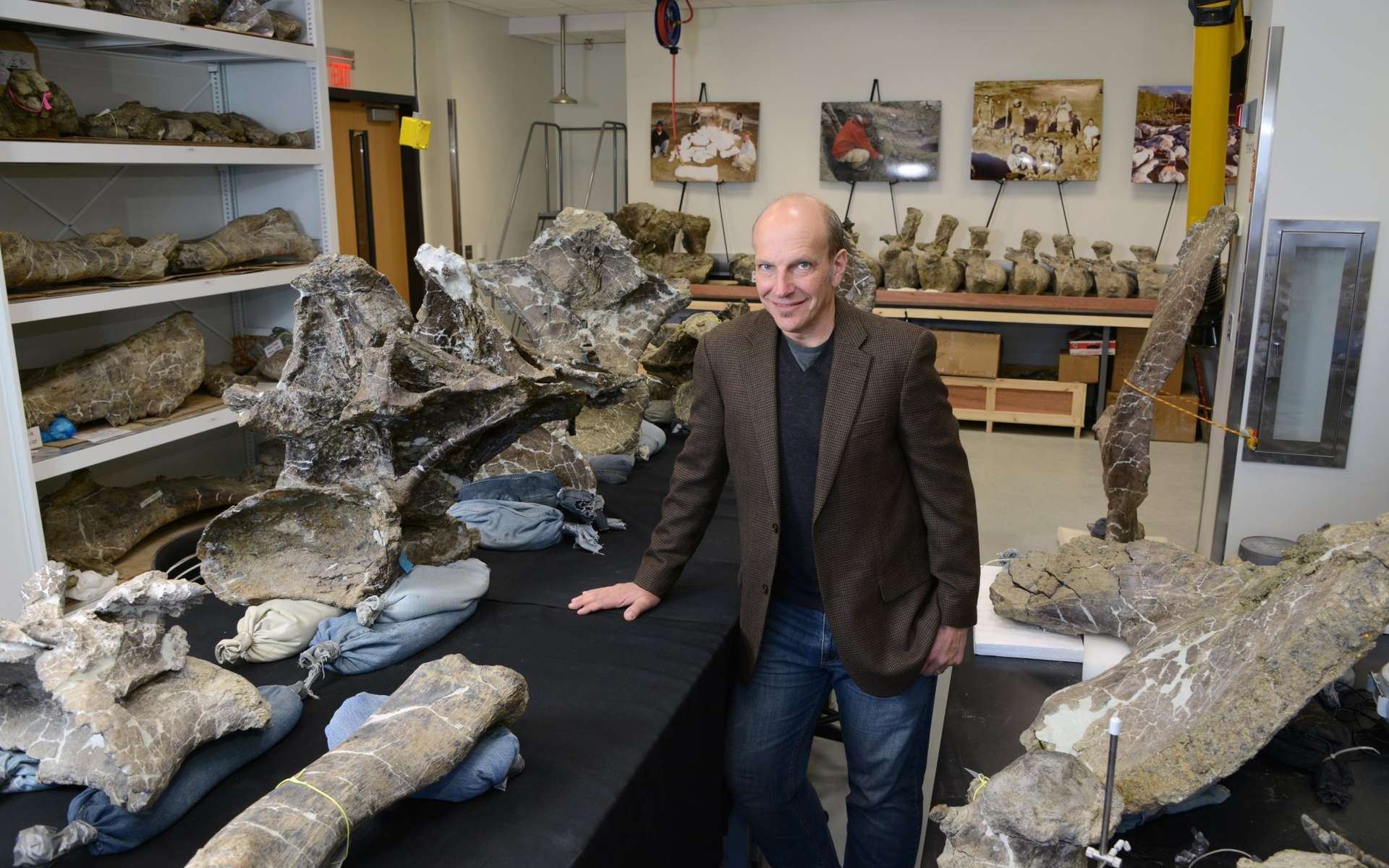 Kenneth Lacovara, membre de l'équipe, pose à côté de vertèbres dorsales appartenant à Dreadnoughtus schrani. D'autres éléments du squelette, dont la queue (au fond), sont installés autour de lui. © Drexel University
