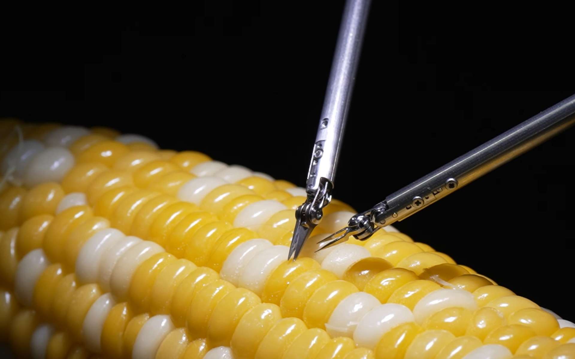 Sony dévoile un robot-chirurgien capable de recoudre une incision dans un grain de maïs !