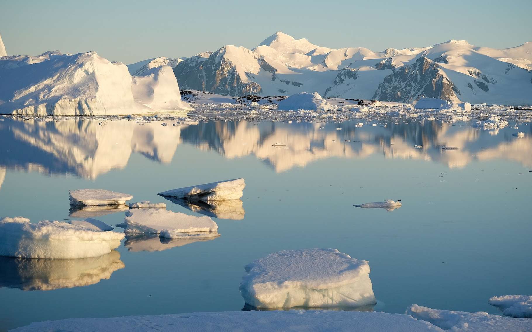 « C'est une découverte fascinante » : des scientifiques assistent à la « piraterie » d'un glacier à une vitesse sidérante