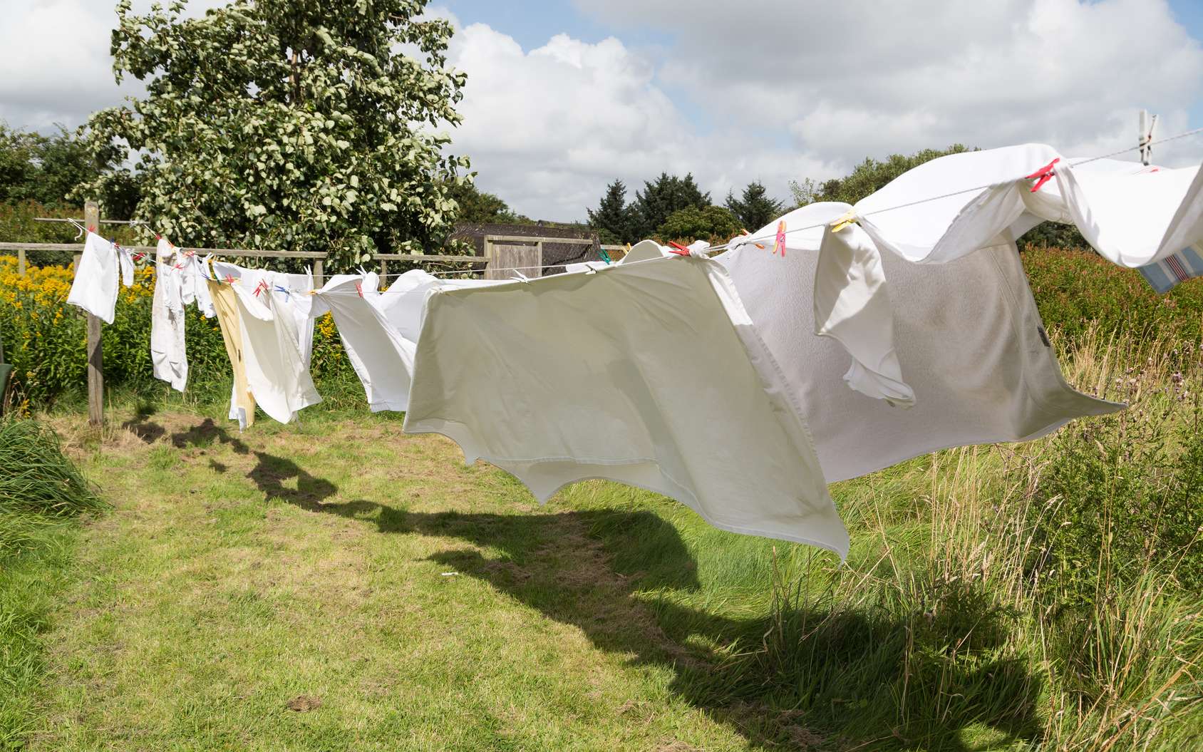 Comment laver son linge de manière écologique