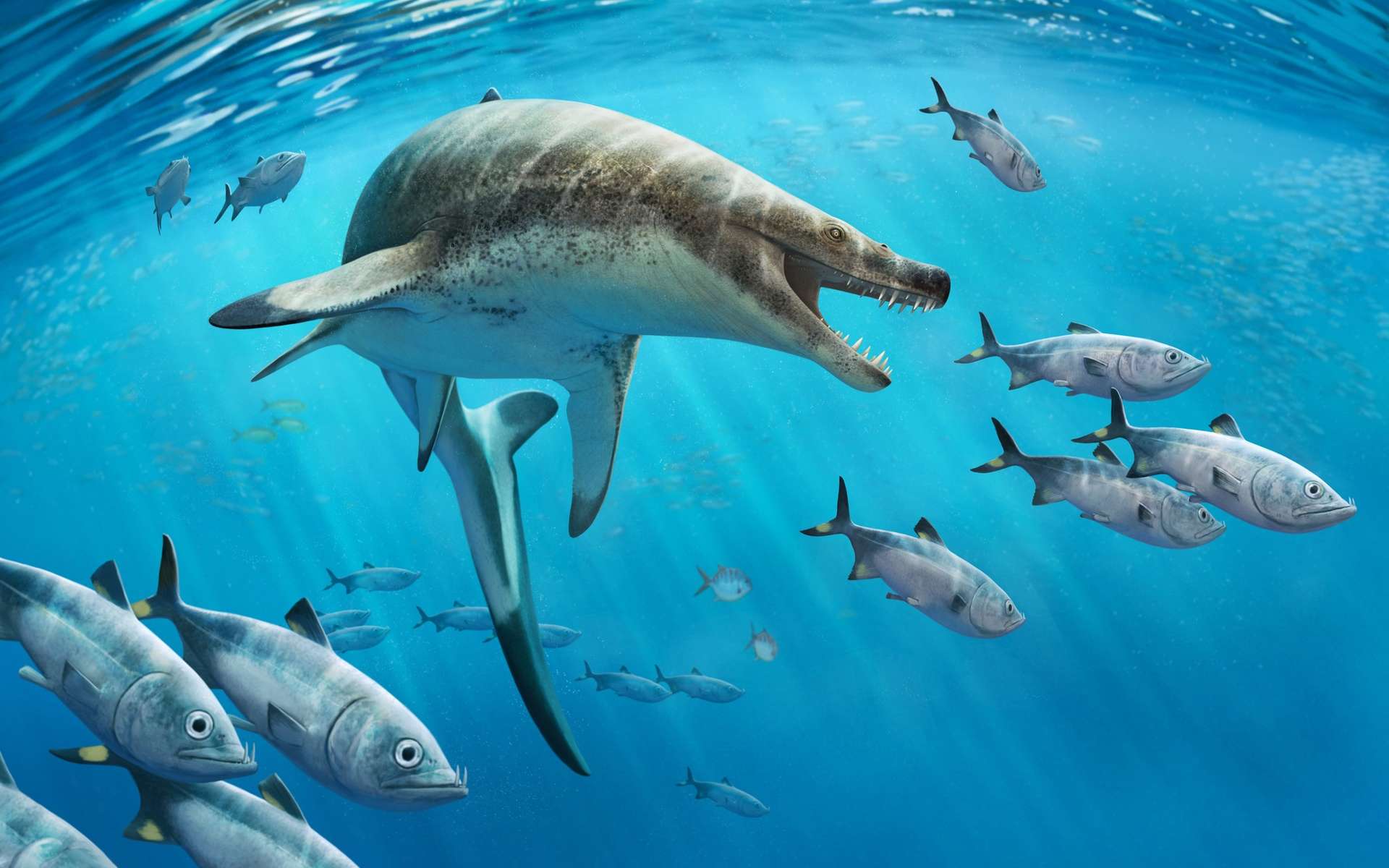 Ce reptile marin géant devait être la terreur des océans il y a 66 millions d'années