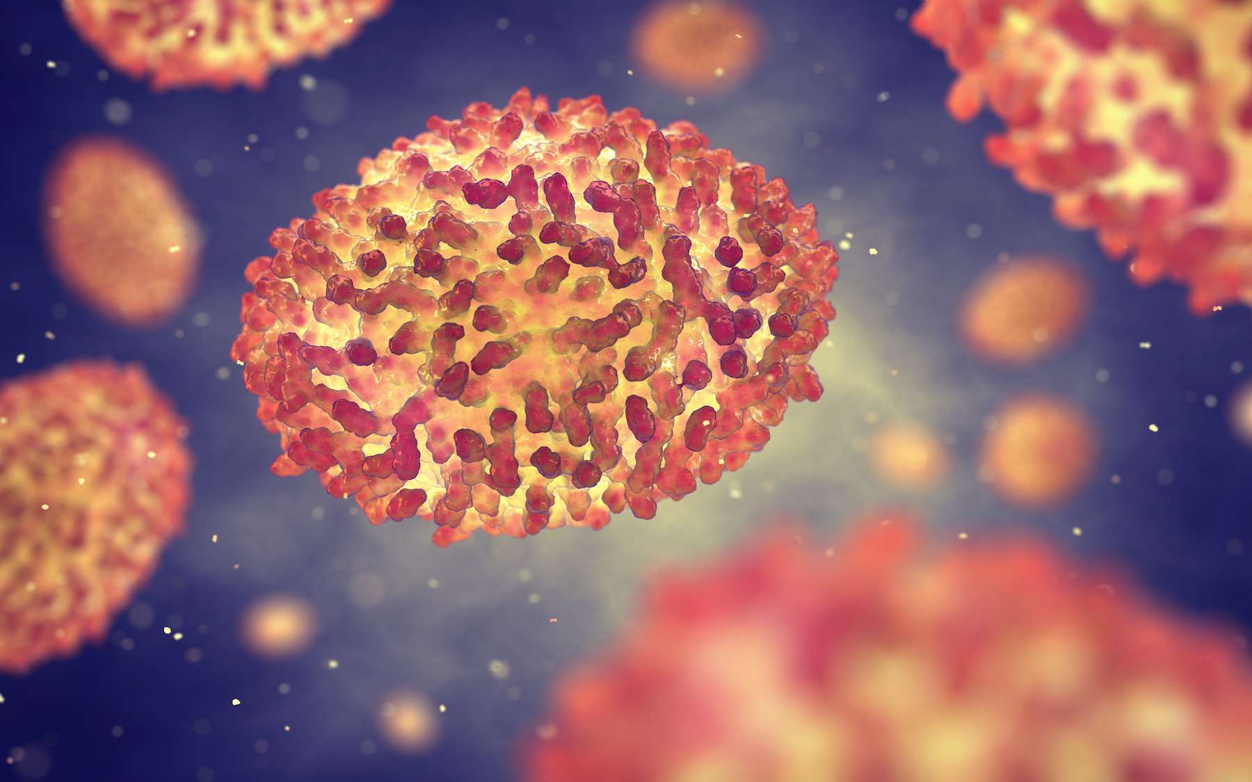 Le virus de la variole du singe appartient à la famille des Poxviridae. © nobeastsofierce, Adobe Stock