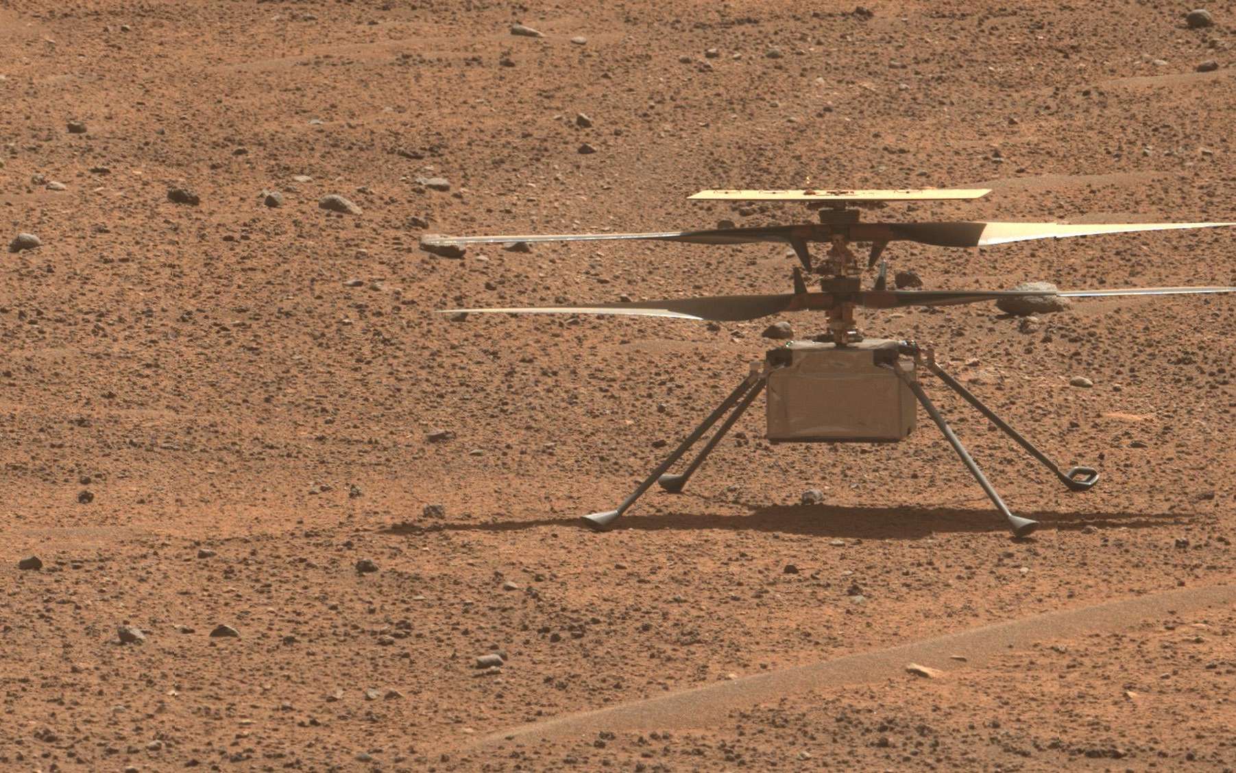 Mars : le drone Ingenuity condamné à rester cloué au sol !