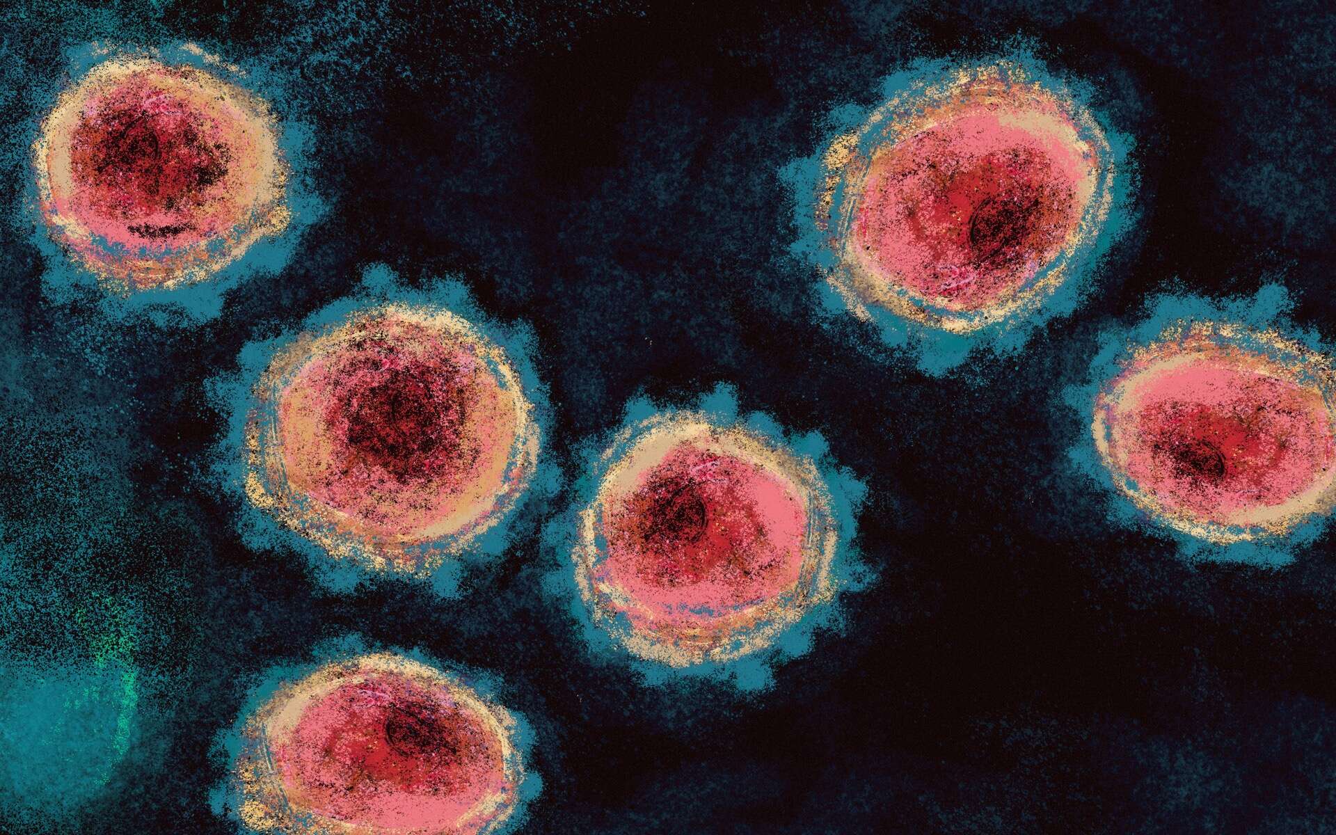 Le coronavirus modifie les cellules qu'il infecte en leur faisant pousser des tentacules. © Antonio Rodriguez, Adobe Stock