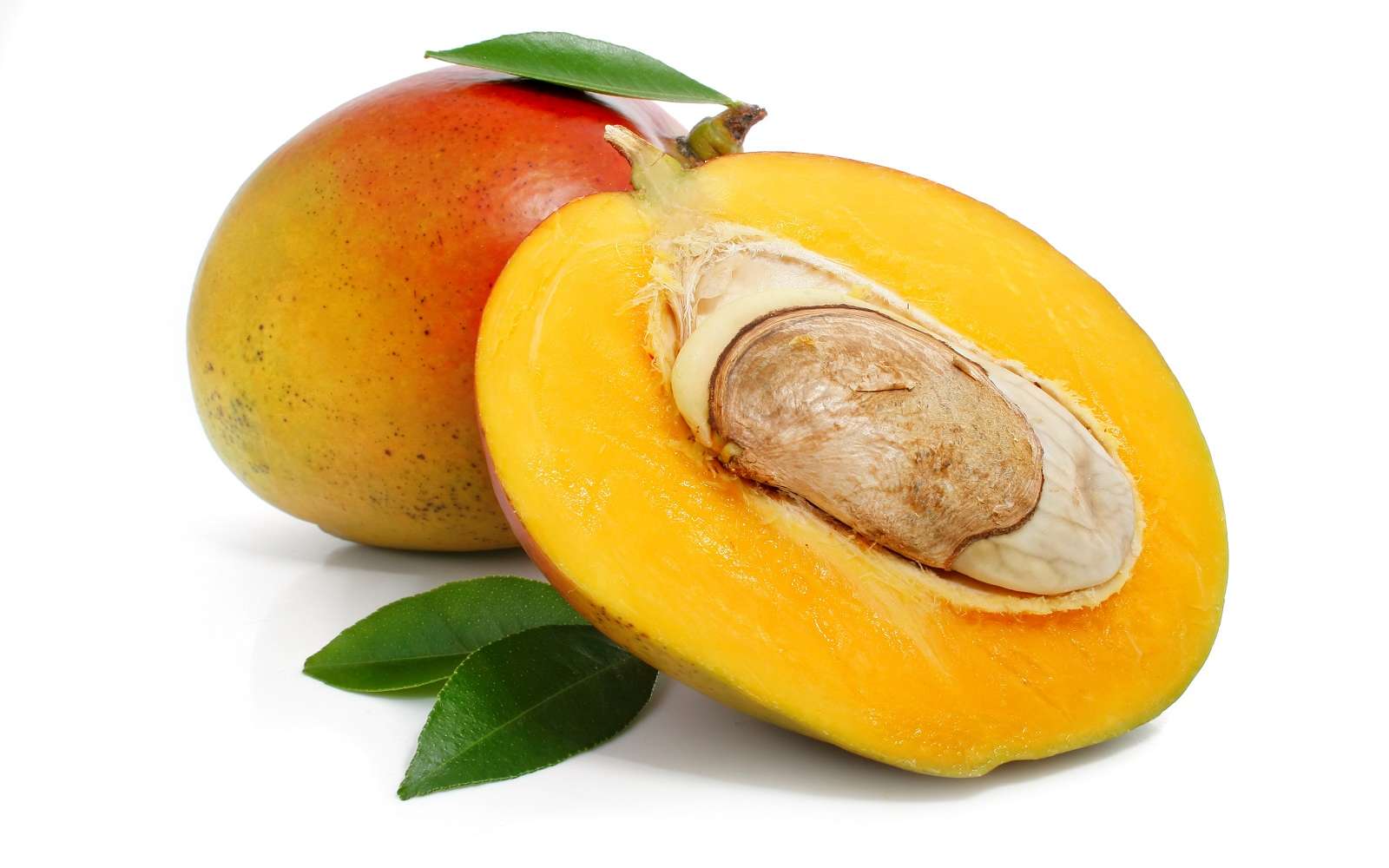 Amande centrale dans une mangue. © Yasonya, Adobe Stock