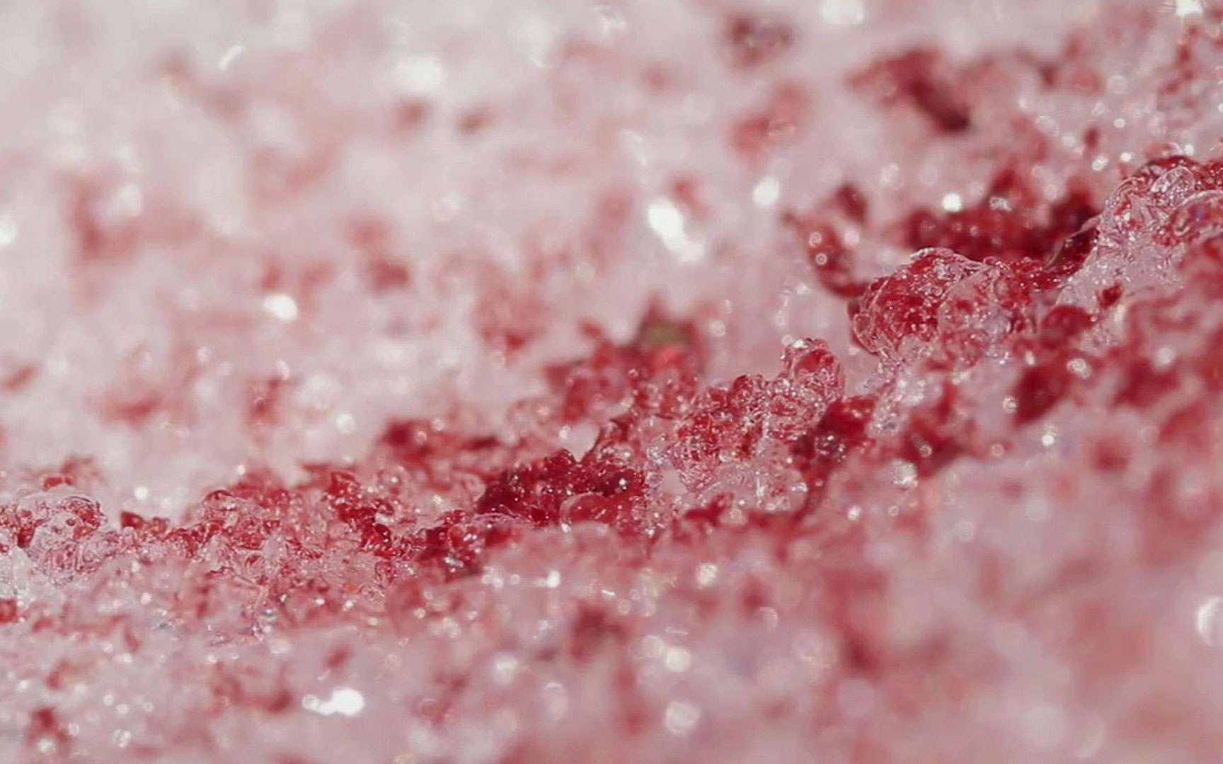 Parfois, les glaciers deviennent rouges, pourquoi ?