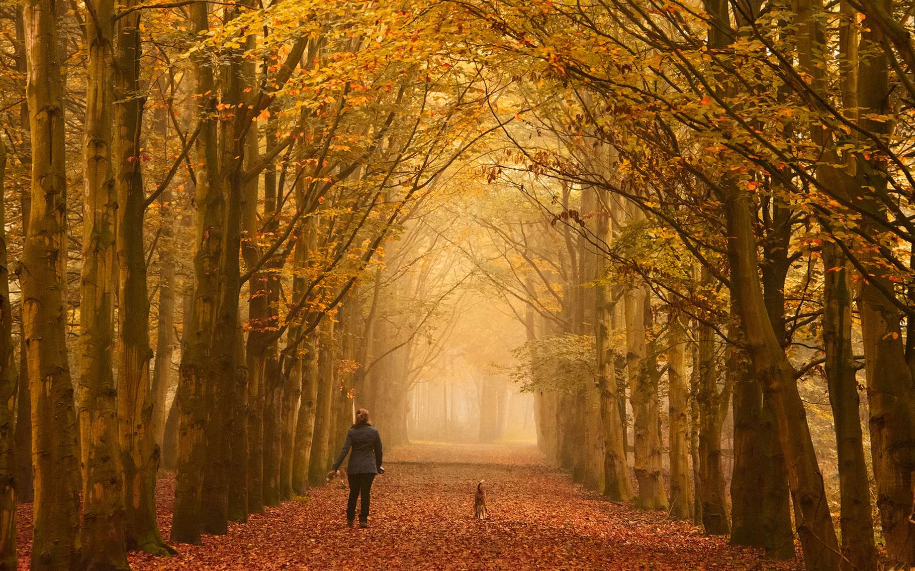 Quel Est Le Jour De L Automne ladress