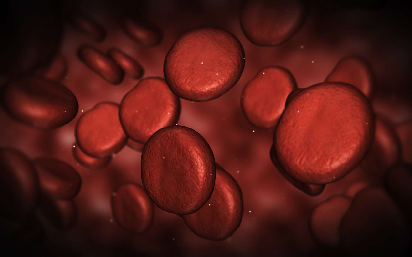 Le sang, qui se compose de plasma et de cellules, contiendrait des éléments capables de contribuer au maintien de la jeunesse. © Gothicpagan, deviantart.com, cc by nc nd 3.0