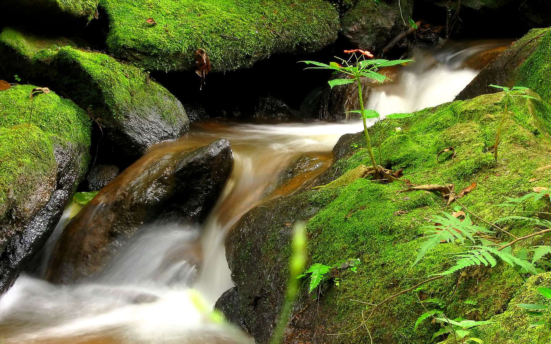 Geopolitique Et Guerre De L Eau Dossier