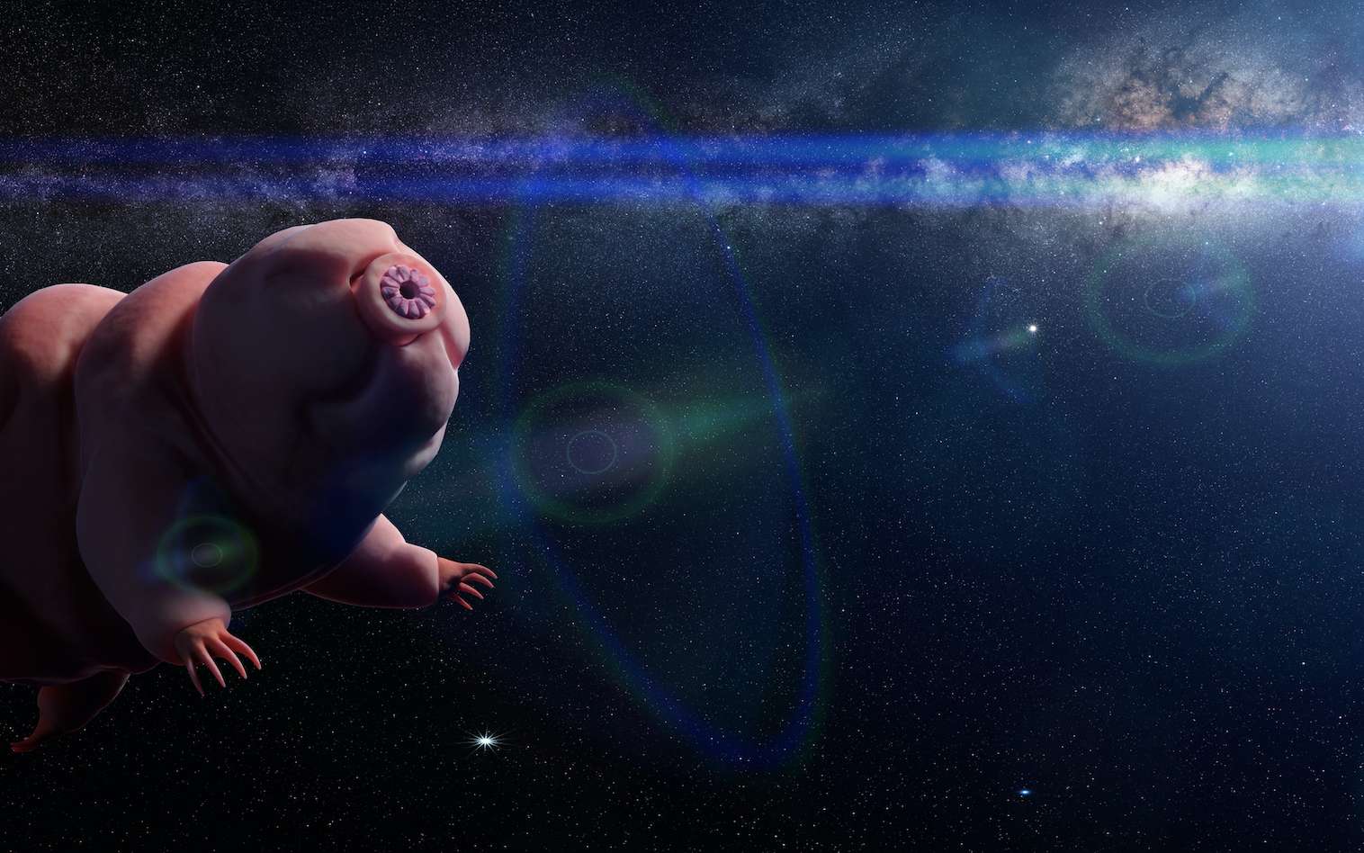 Des tardigrades seront-ils les premiers êtres vivants issus de la Terre à quitter le Système solaire. © dottedyeti, Adobe Stock