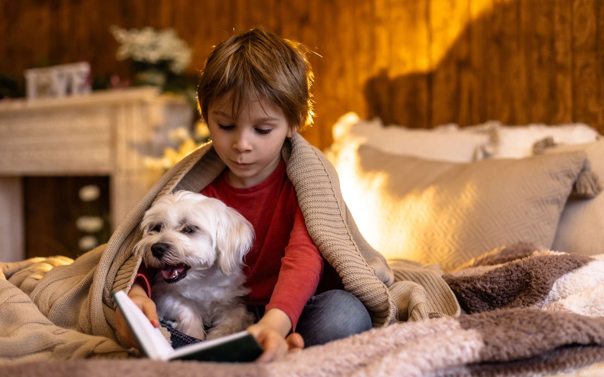 Et si le chien était la clé de l'apprentissage à l'école ?