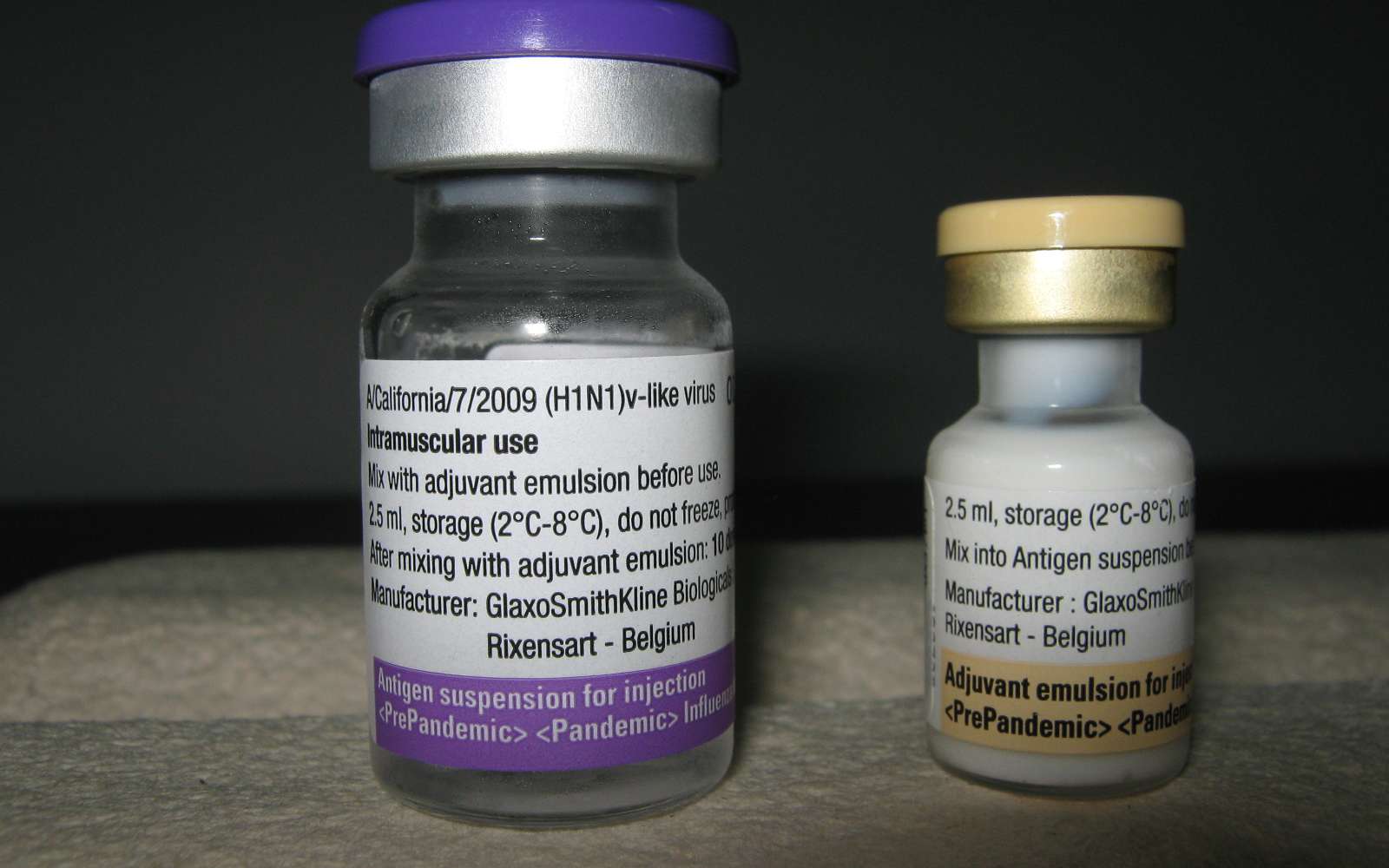 La vaccin Pandemrix, du laboratoire GSK (GlaxoSmithKline), adjuvanté, a été utilisé contre le virus A(H1N1). © Grook Da Oger / Licence Commons