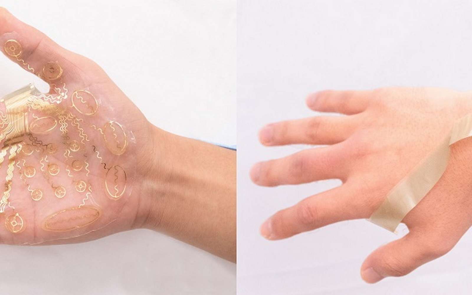 Cette peau en hydrogel connectée permet de ressentir les objets dans la réalité virtuelle