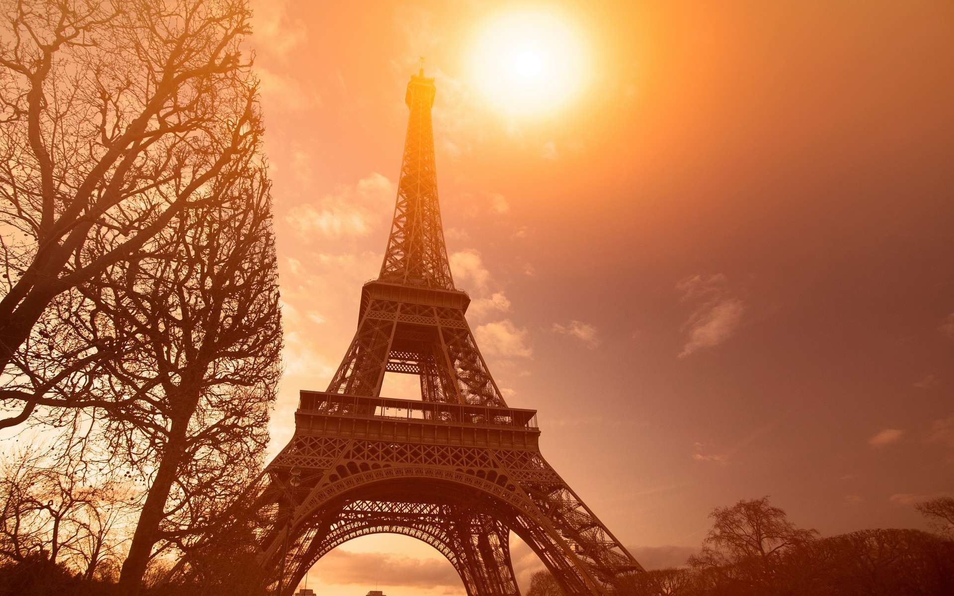 +4 °C d'ici 2100 en France : les mesures que prendraient des scientifiques s'ils étaient ministres