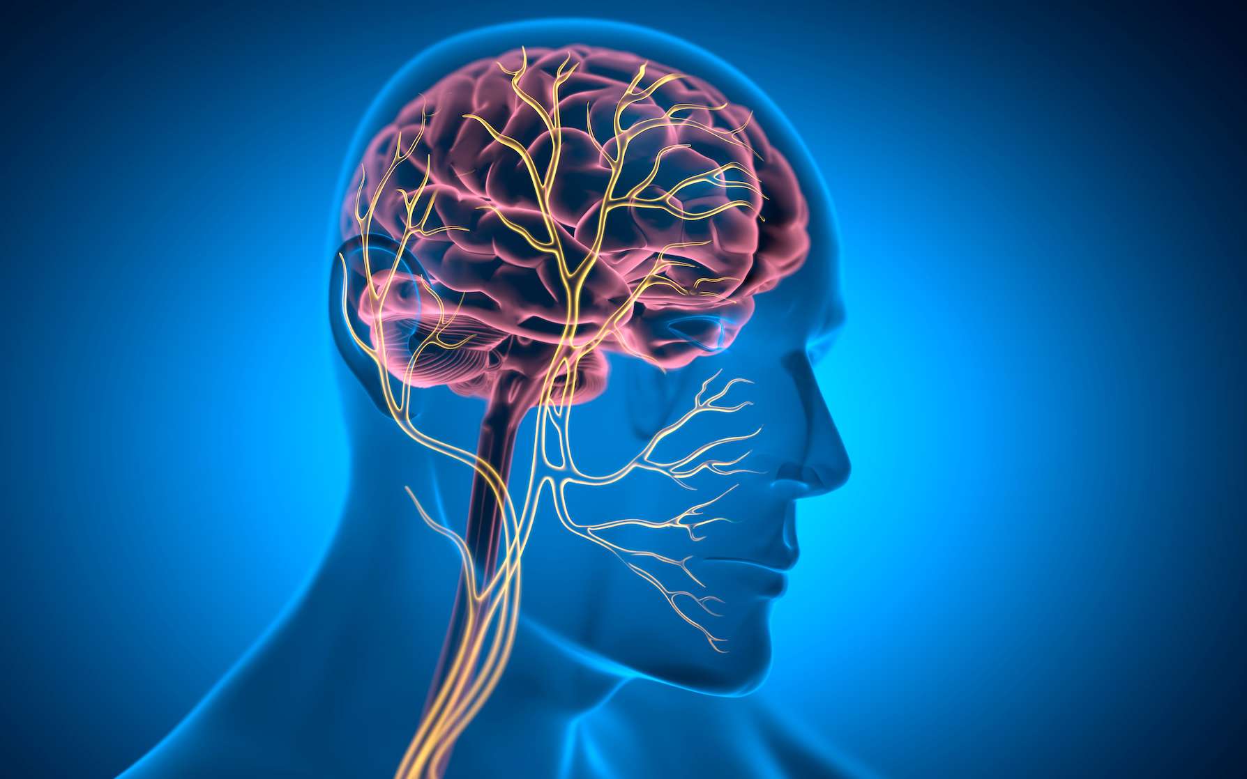 Des chercheurs mettent au point un moyen très prometteur de guérir le trouble du stress post-traumatique