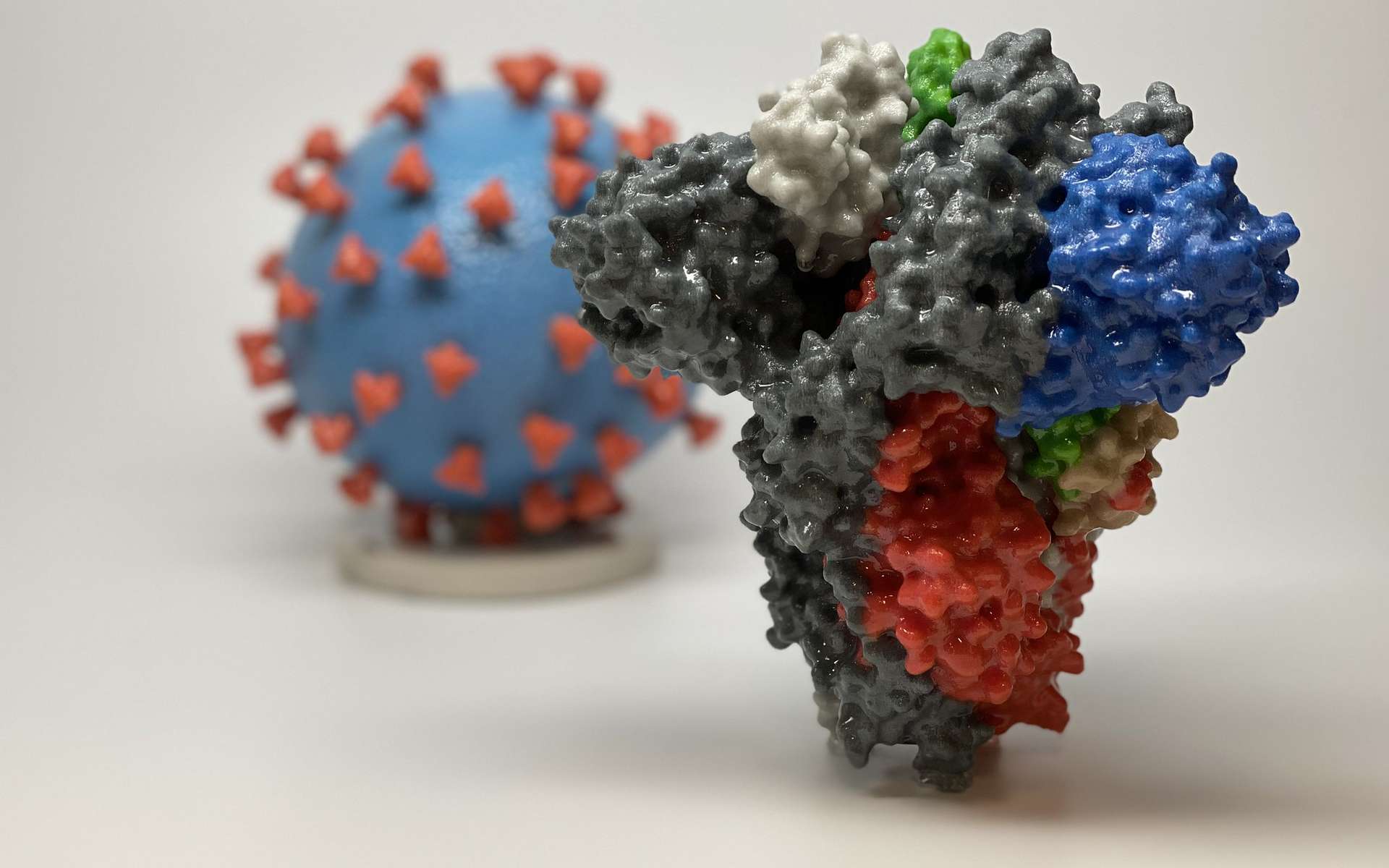 Protéine de pointe du coronavirus SARS-CoV-2, qui sert aux anticorps à identifier et neutraliser le virus. © NIAID