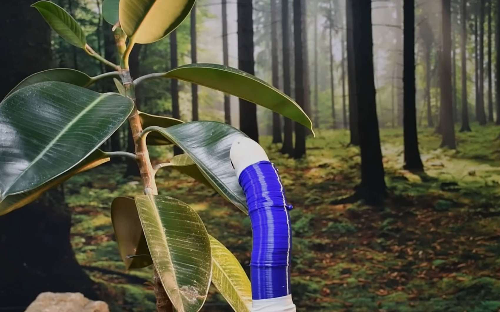 Ce robot explore les environnements en poussant comme une liane
