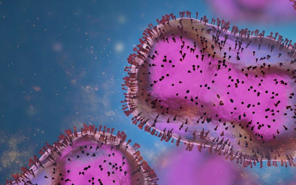 La variole du singe continue sa progression dans le monde. © dottedyeti, Adobe Stock