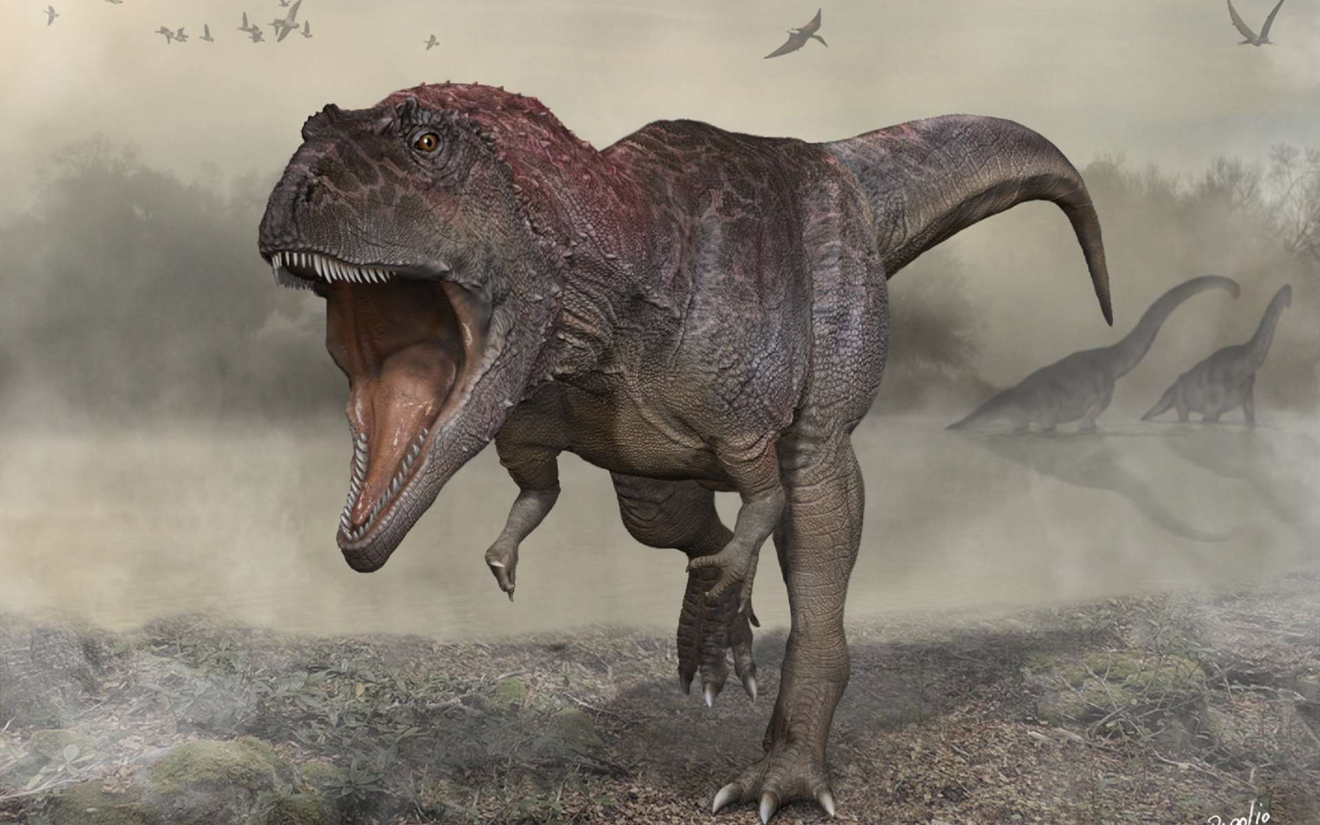 Meraxes gigas, un nouveau prédateur géant du Crétacé, qui ressemble étrangement au T-rex avec ses tout petits bras. © Carlos Papolio