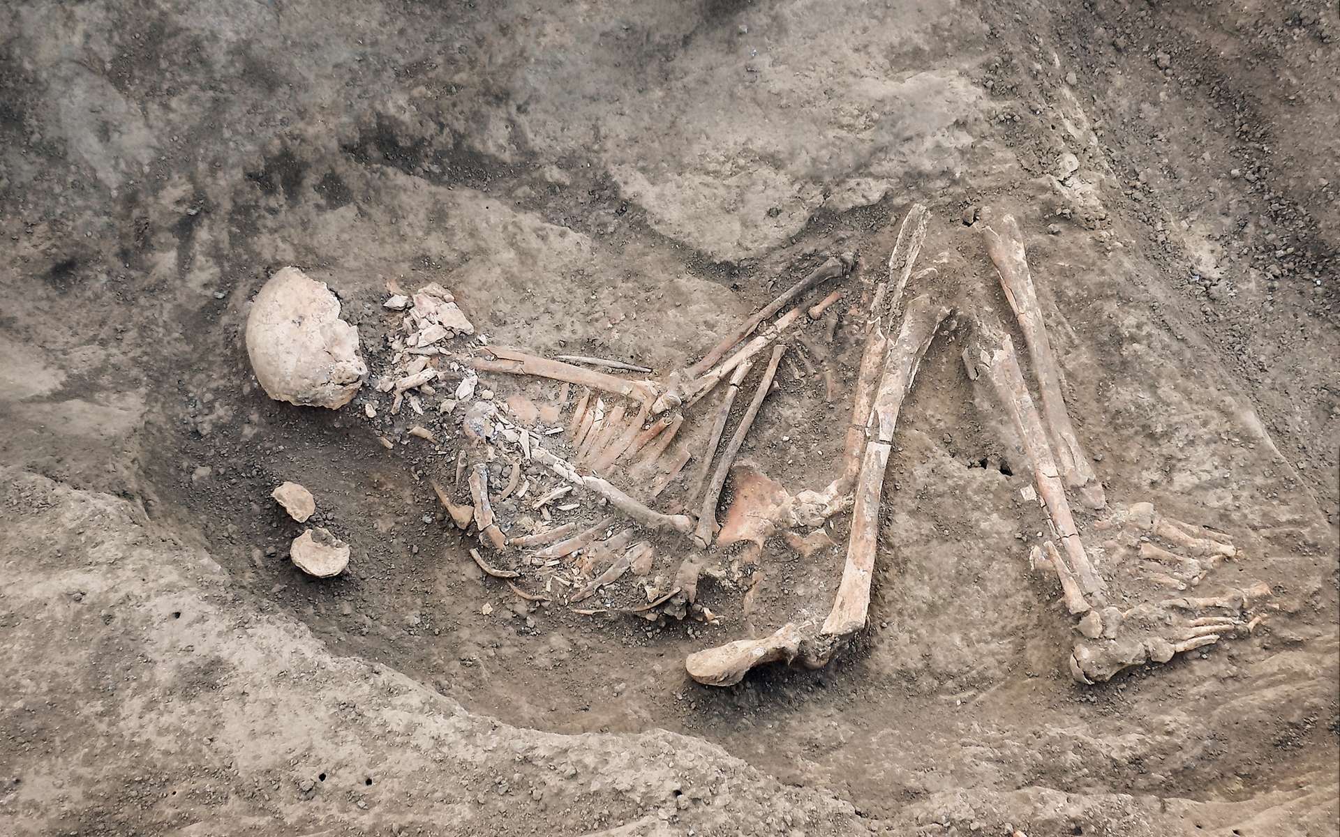« Luzio », plus vieux squelette du Brésil, nous parle du peuplement de l'Amérique