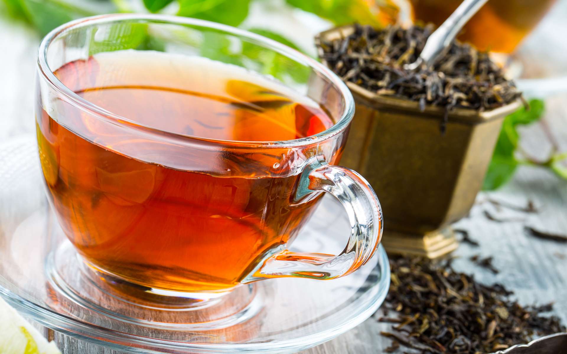 Ces 5 variétés de thé préserveraient du Covid-19 !