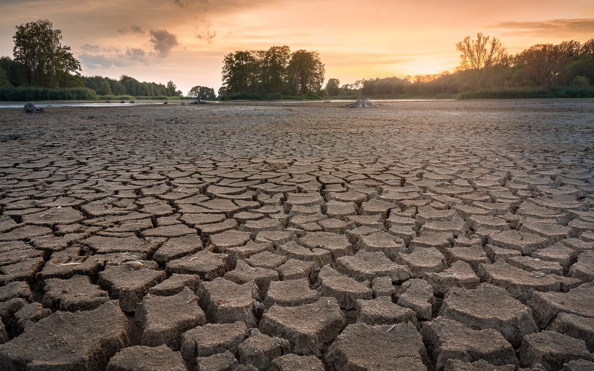 Une nouvelle crise de l'eau menace ces régions de France où la sécheresse s'intensifie
