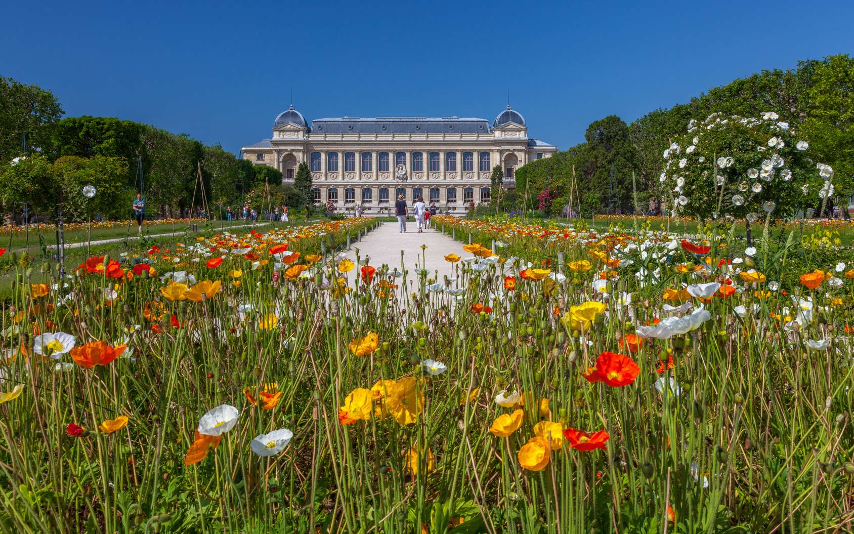 De quand date le jardin des plantes de Paris