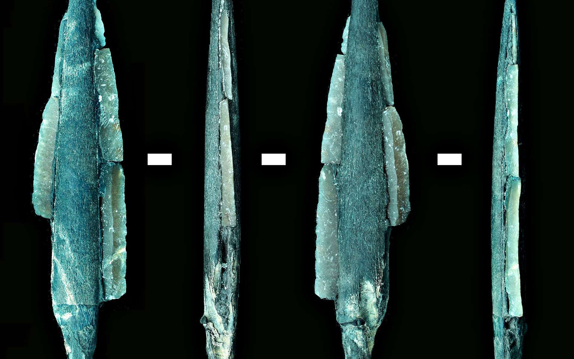 Les premières traces de pêche sont des ossements et des écailles datant de plus de 40.000 ans. © CSIC