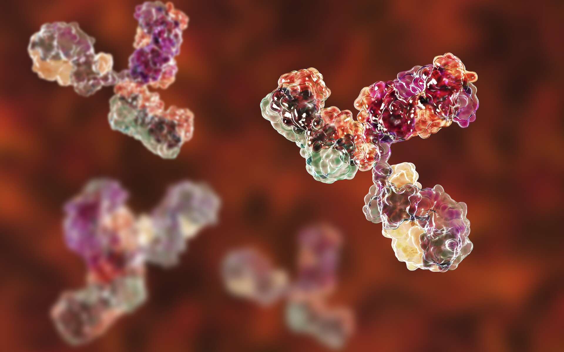 Des anticorps seraient-ils à l'origine du Covid long ? © Katryna_Kon, Adobe Stock