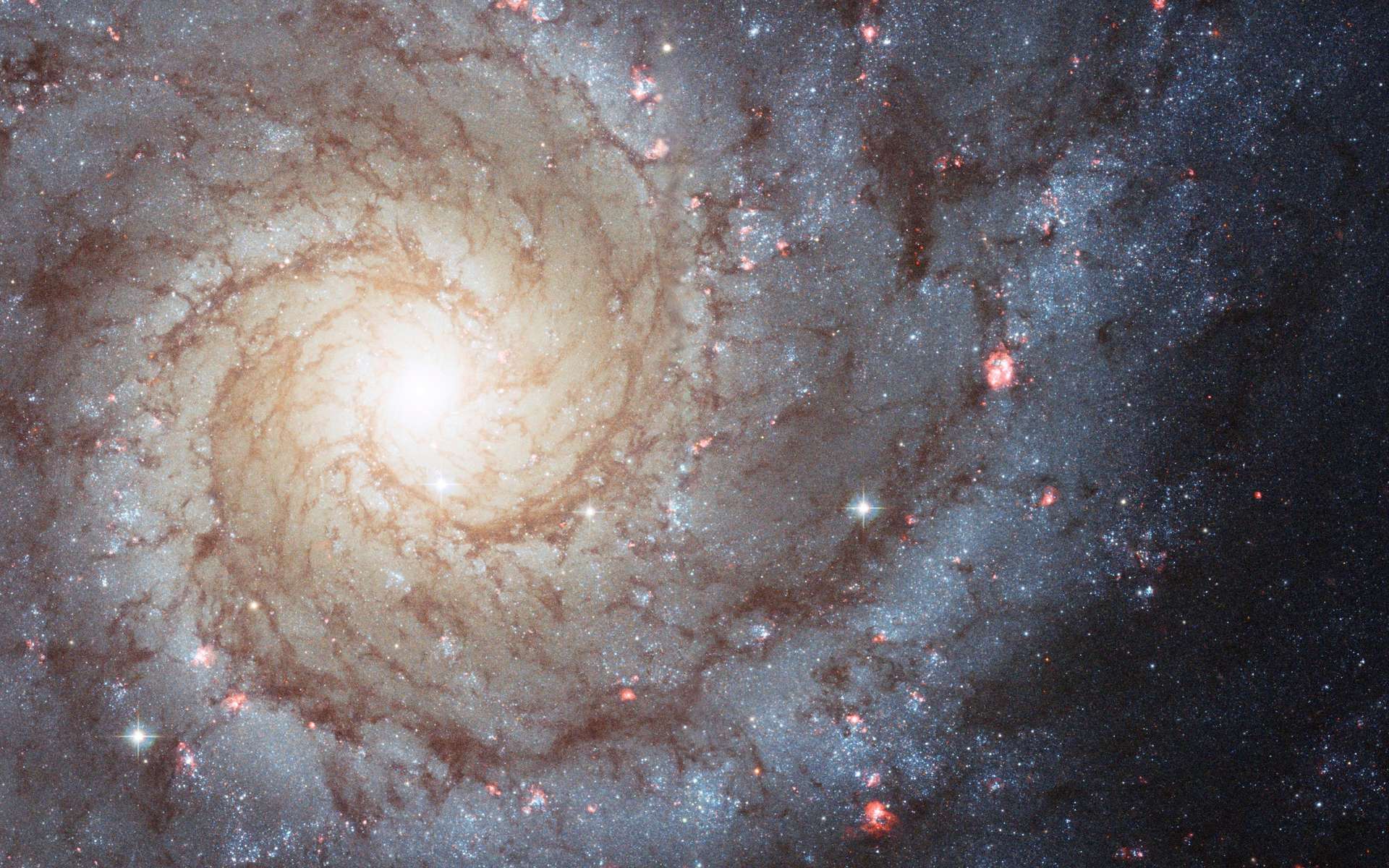 Une galaxie spirale iconique dans l'oeil du télescope spatial James-Webb