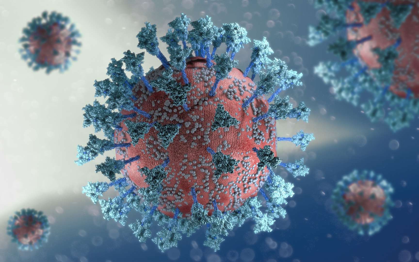 Le virus devrait continuer à évoluer mais être moins dangereux. © Naeblys, Adobe Stock