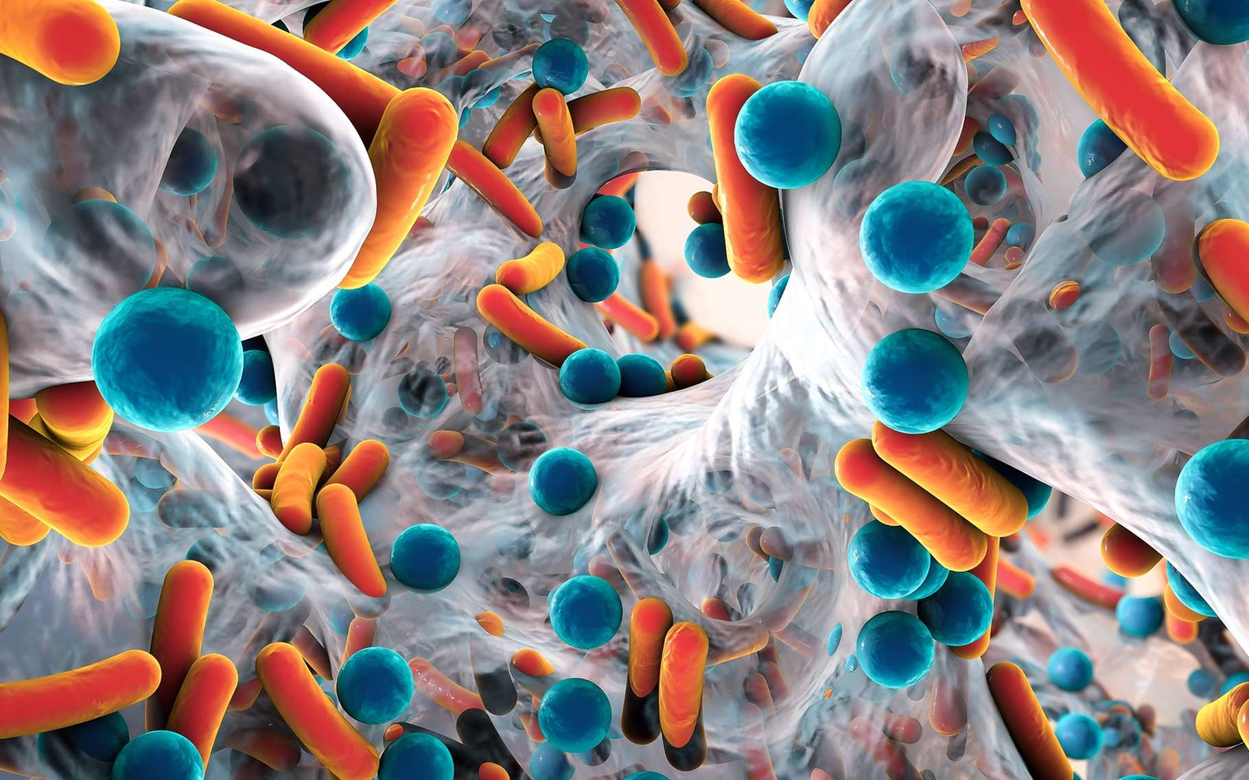 Les bactéries « superbugs » qui résistent aux traitements antibiotiques, représentent un enjeu de santé publique. © Kateryna Kon, Shutterstock