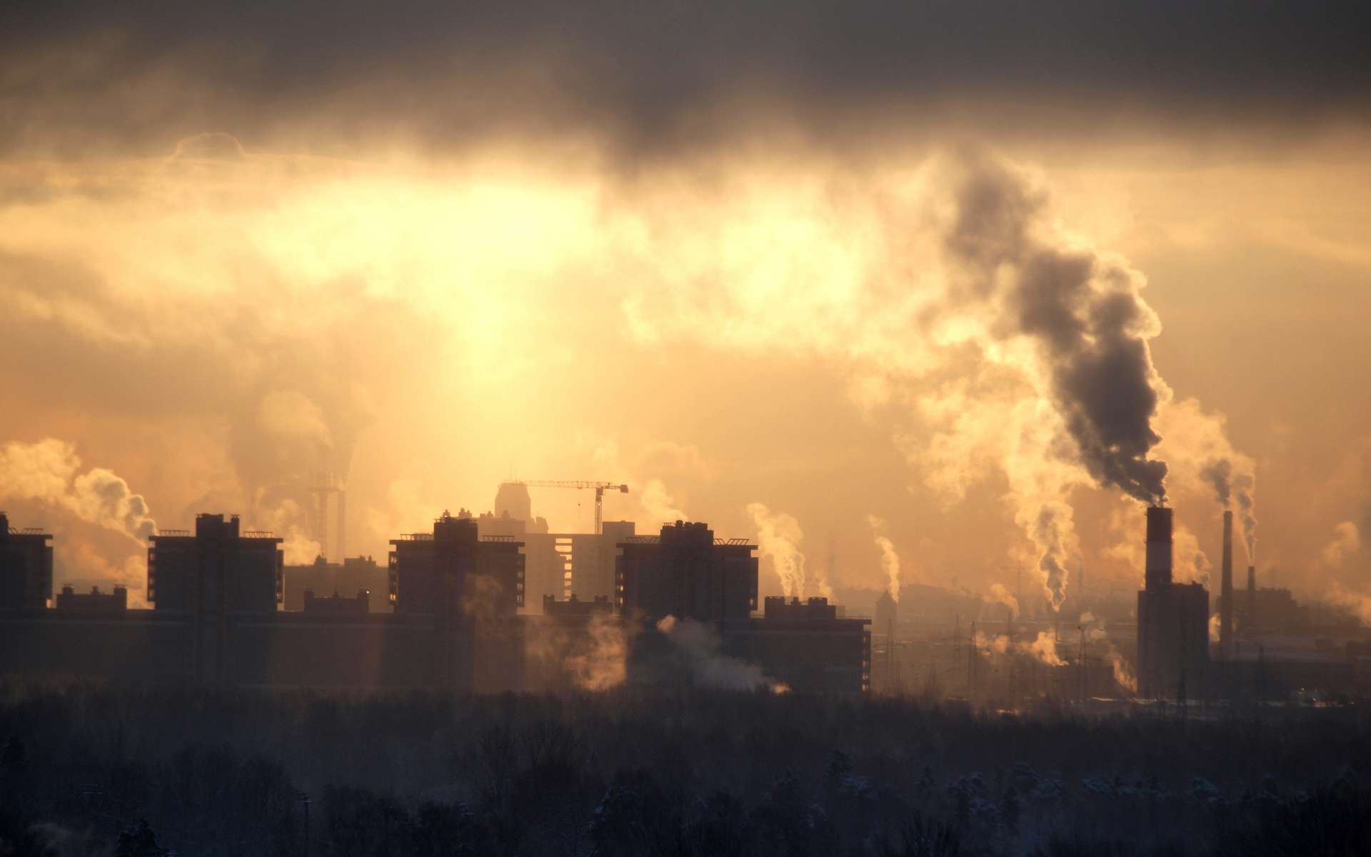Des chercheurs allemands mettent en garde contre une « pandémie » sans équivalent due à la pollution de l’air. © Николай Григорьев, adobe Stock