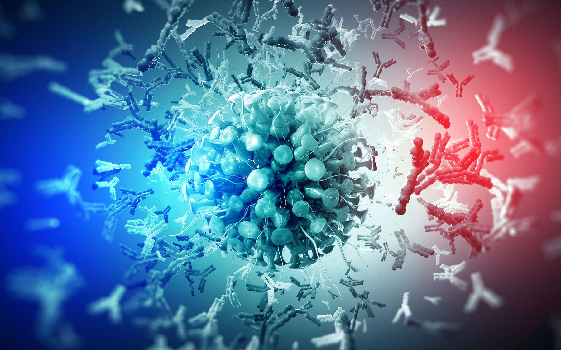 Coronavirus : l'efficacité des anticorps est réduite à zéro en moins de 80 jours