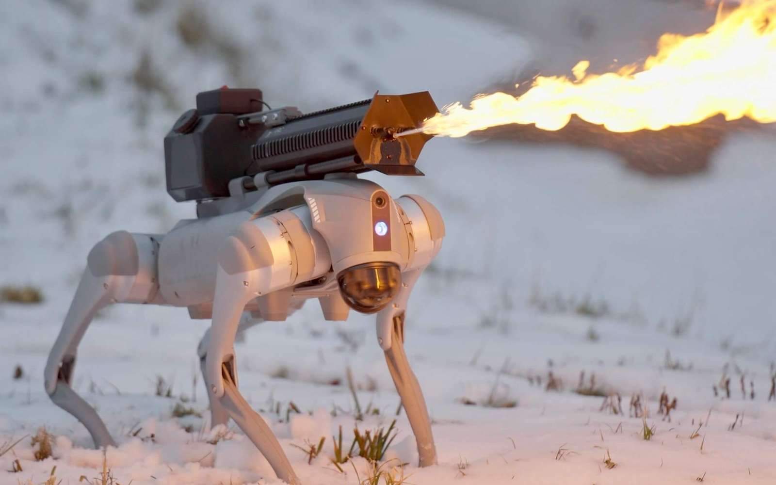 Préparez-vous à courir : le robot-chien lance-flammes est désormais en vente libre !