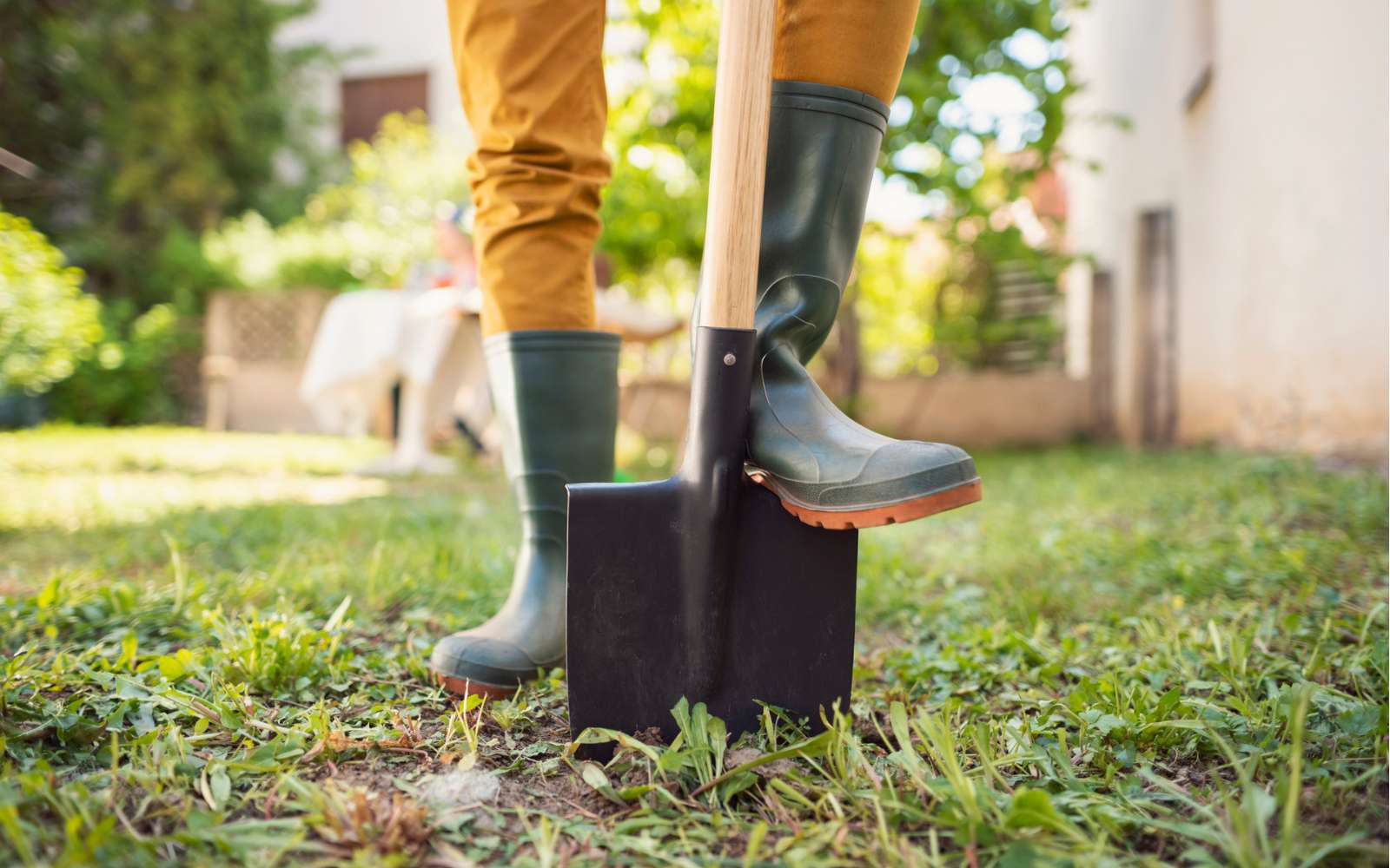 C'est le moment de préparer votre jardin pour le printemps, et voici comment