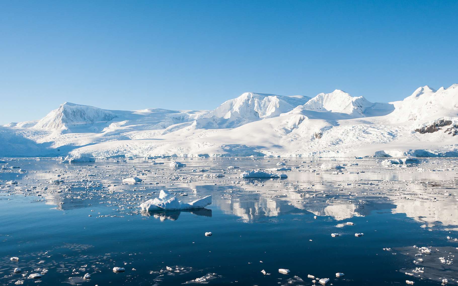 Des chercheurs ont étudié les anciennes plages de l’Antarctique. Pour découvrir que les glaciers de l’ouest du continent fondent aujourd’hui à une vitesse folle. © Asya M Adobe Stock