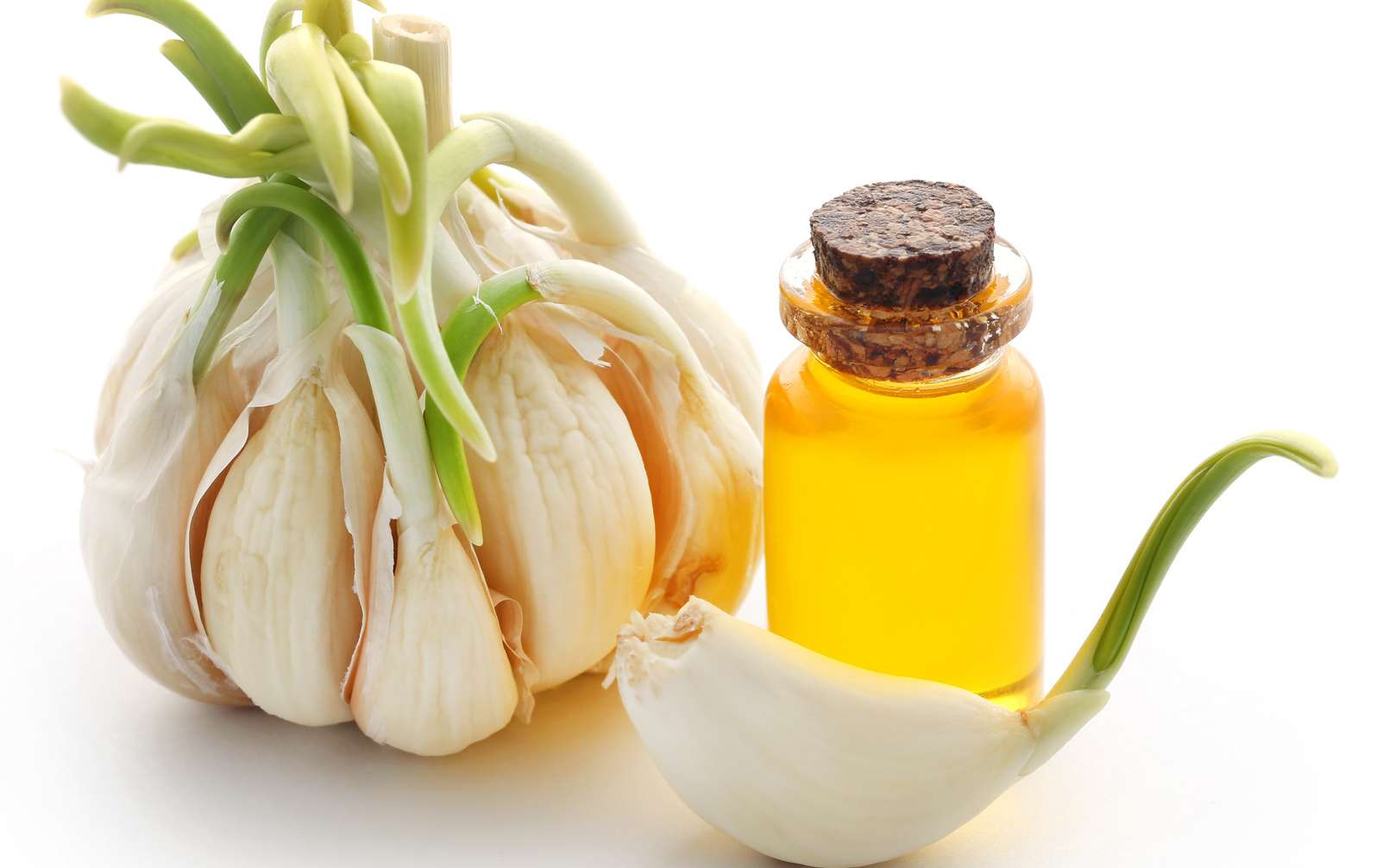 Garlic essential oil: what are its virtues?
