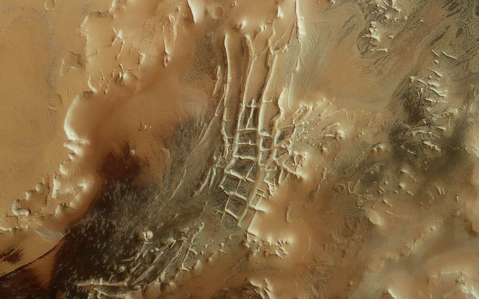 Des structures qui ressemblent à des araignées et une « cité Inca » photographiées sur Mars