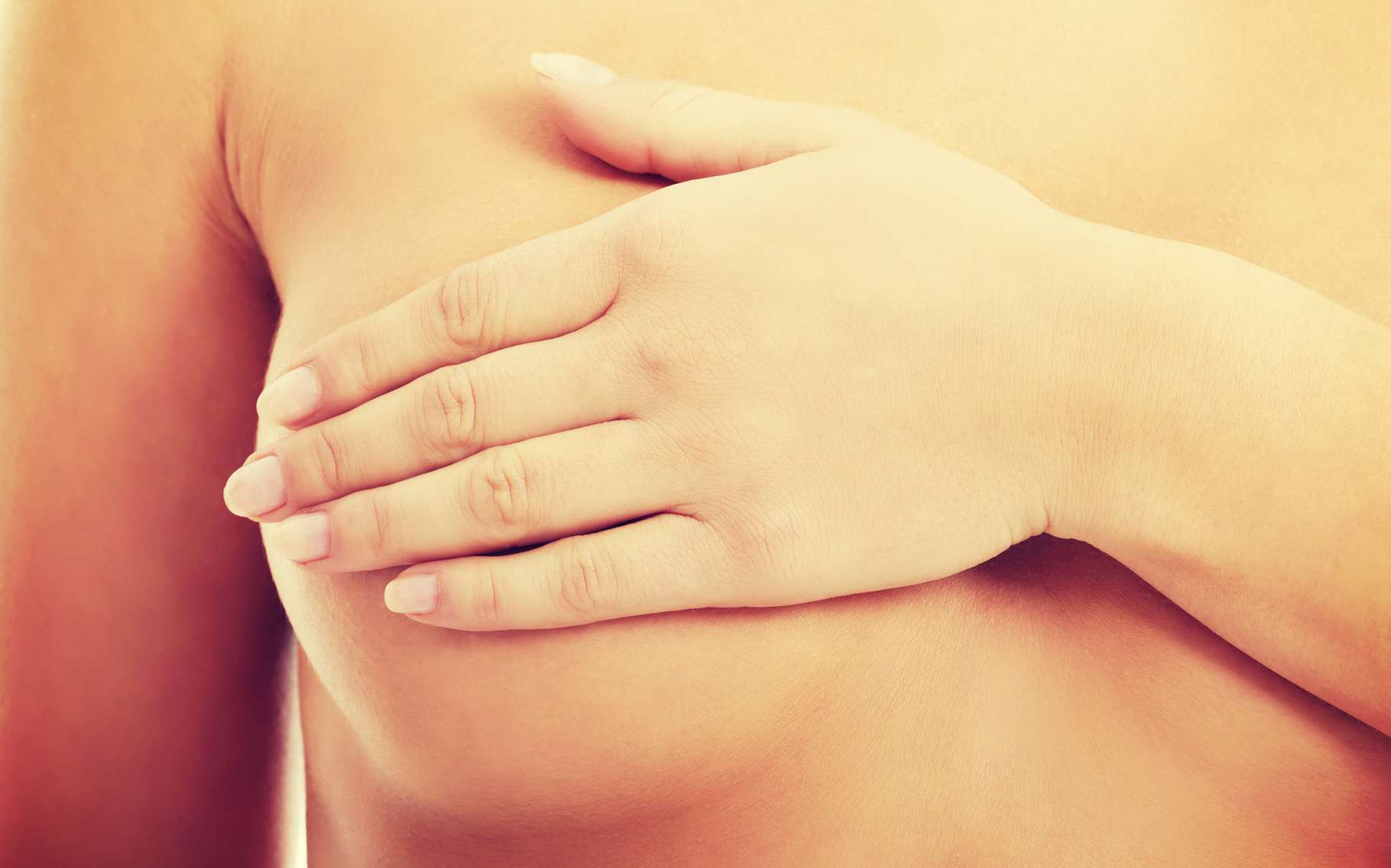 A Quels Seins Se Vouer Taille De La Poitrine Et