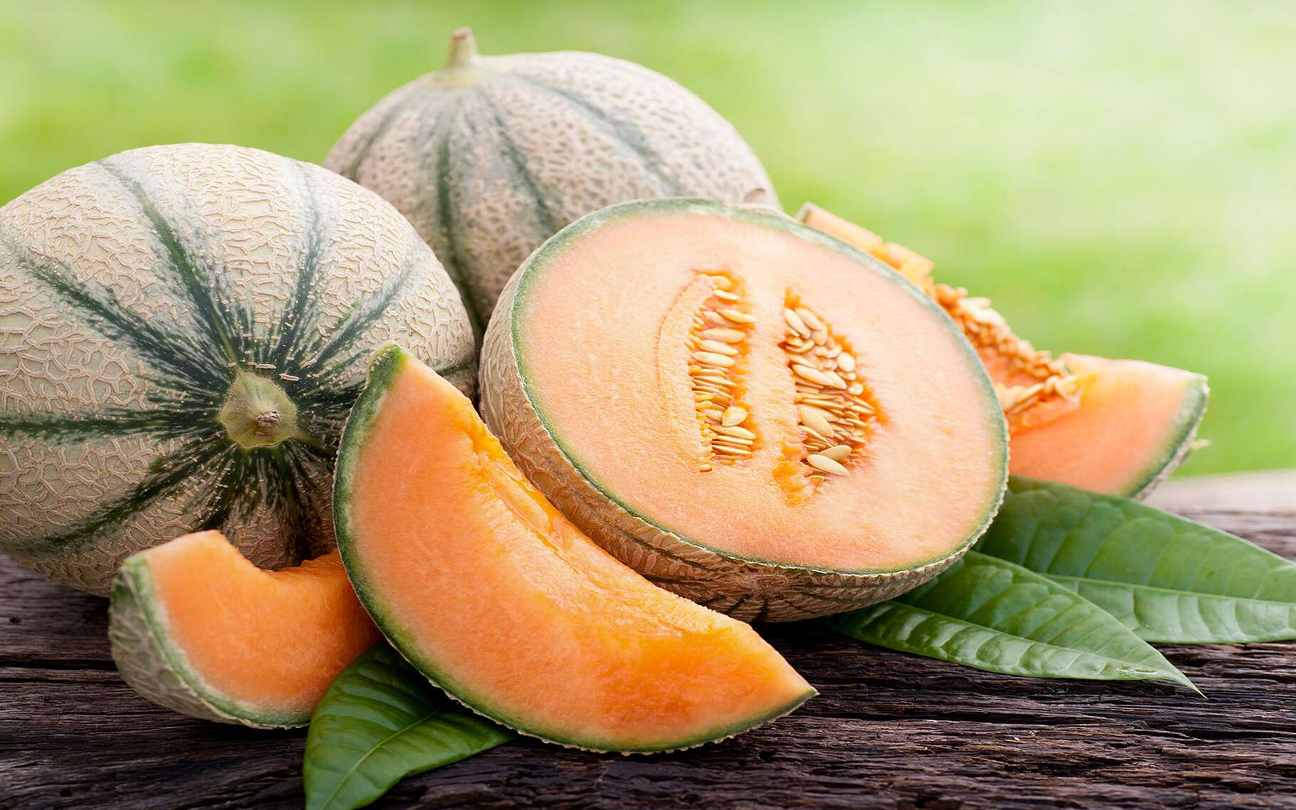 Le melon, un délicieux fruit de saison | Dossier