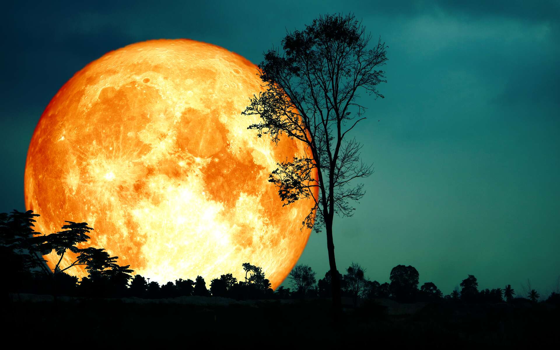 Une rare « super-lune bleue » à admirer en août : qu'est-ce que cela signifie ?