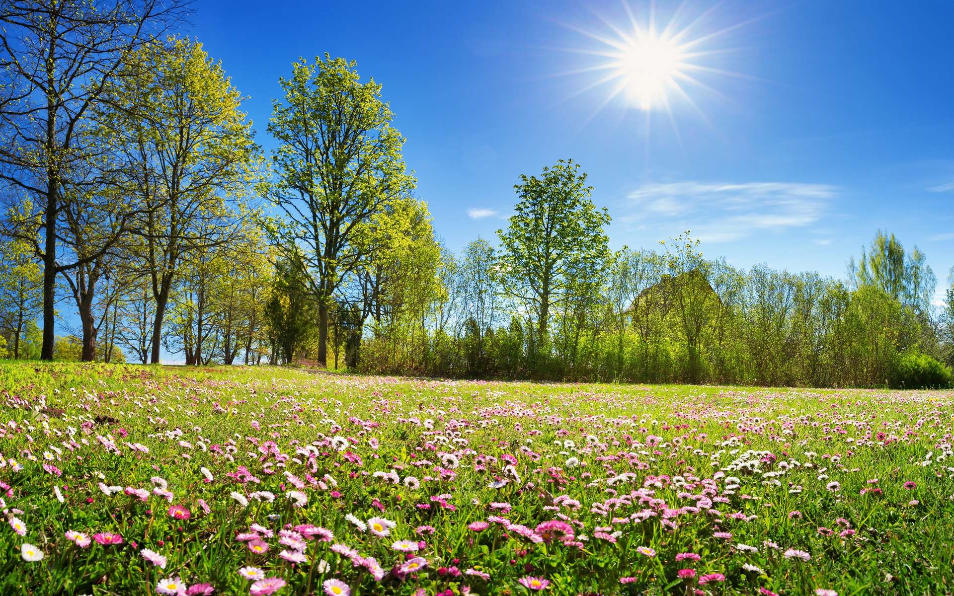 La Niña va-t-elle bouleverser notre printemps ? Voici ce que prédisent les experts !