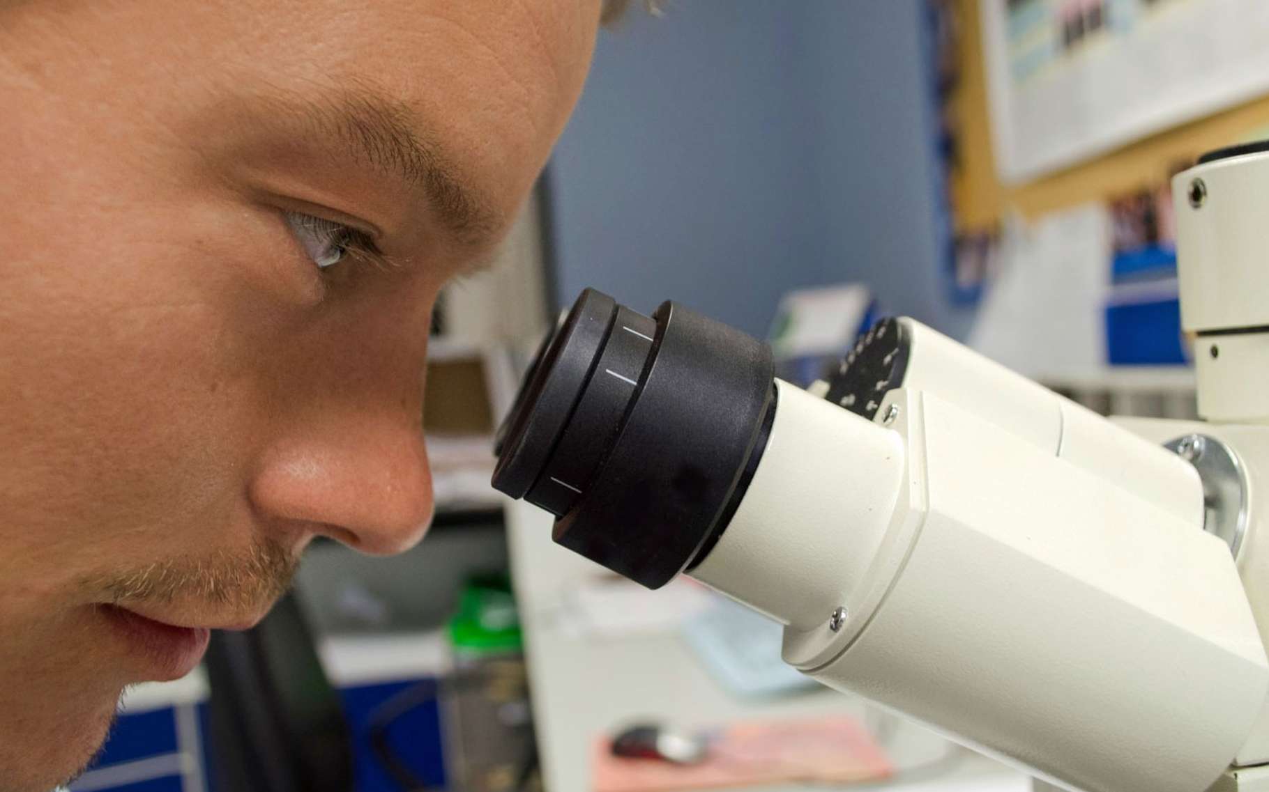 Anatomie Vegetale Au Microscope Dossier