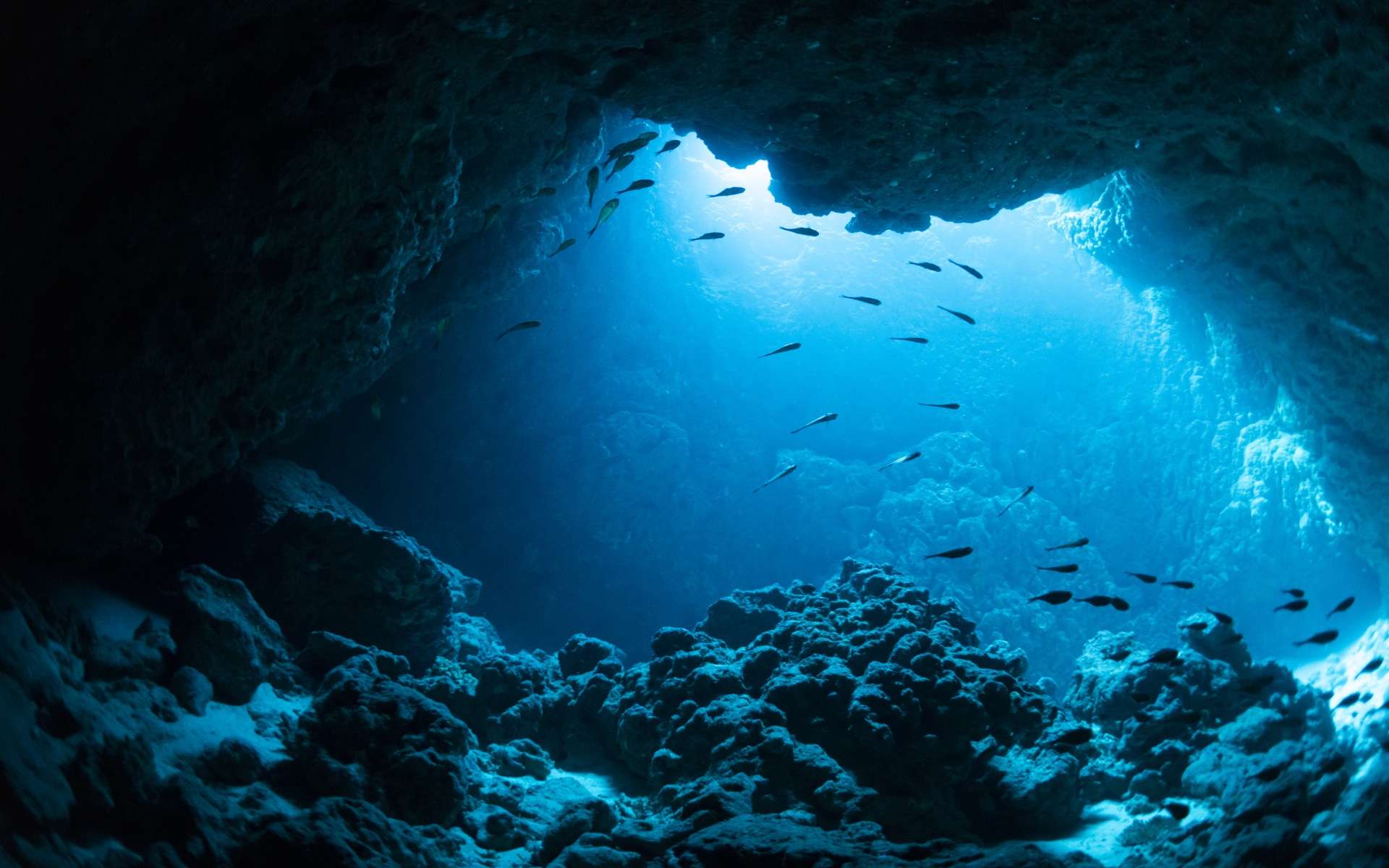 Suivez les méandres de la plus longue rivière sous-marine du monde thumbnail
