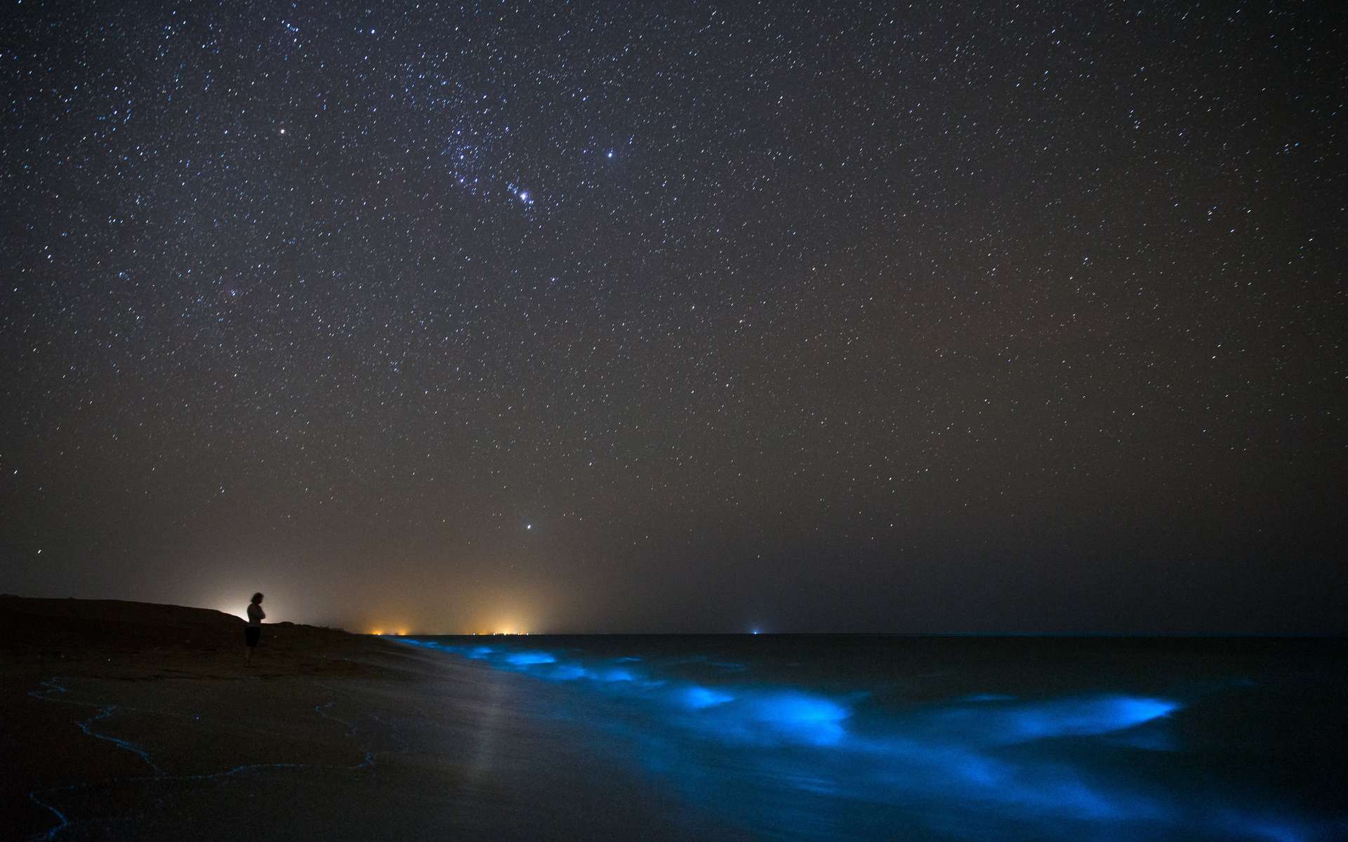 La bioluminescence dans les océans est souvent due aux phytoplanctons, comme ici sur une plage en Iran. © sghiaseddin, Adobe Stock