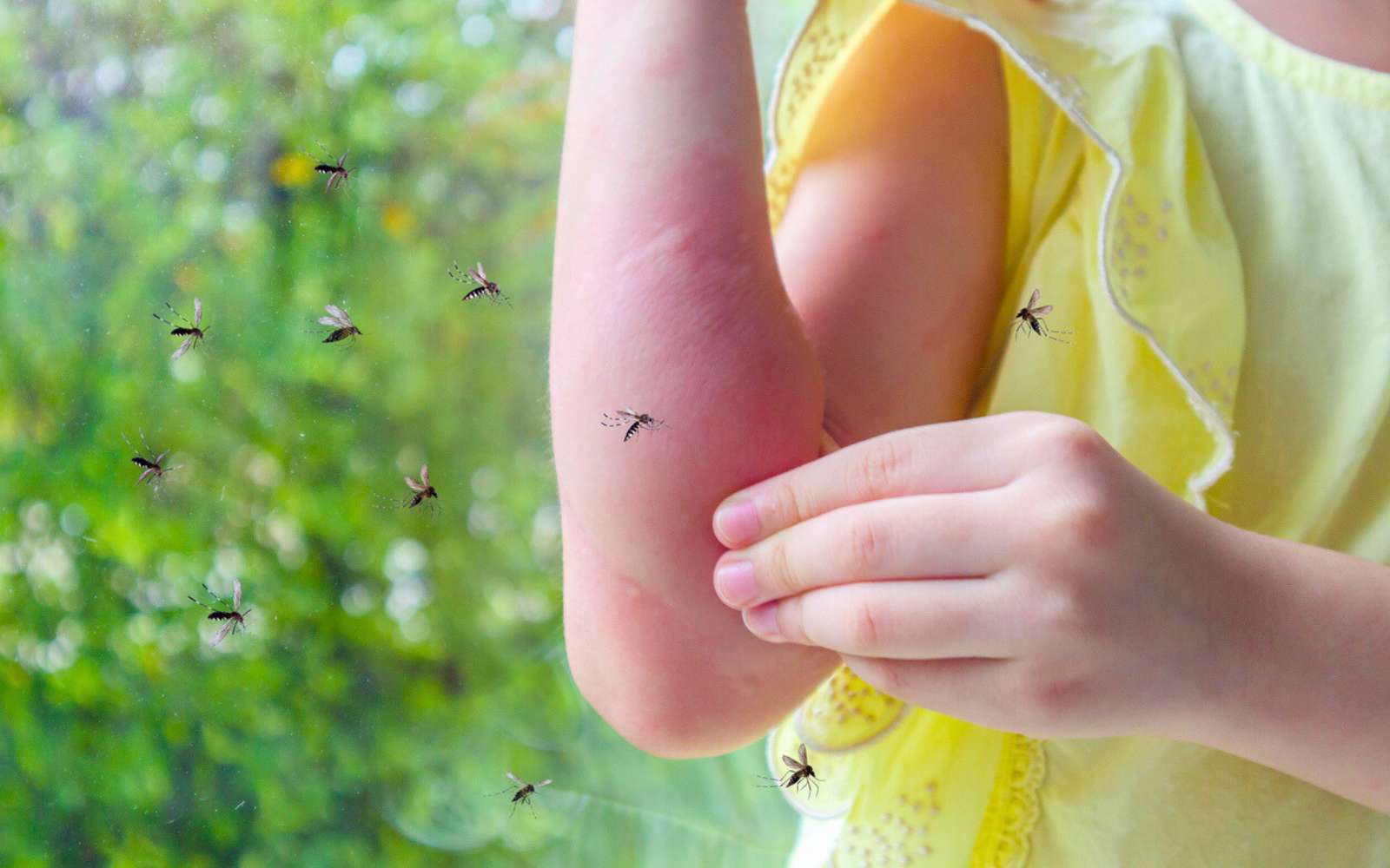 Si les moustiques vous adorent, voici la vraie raison... et comment y échapper cet été